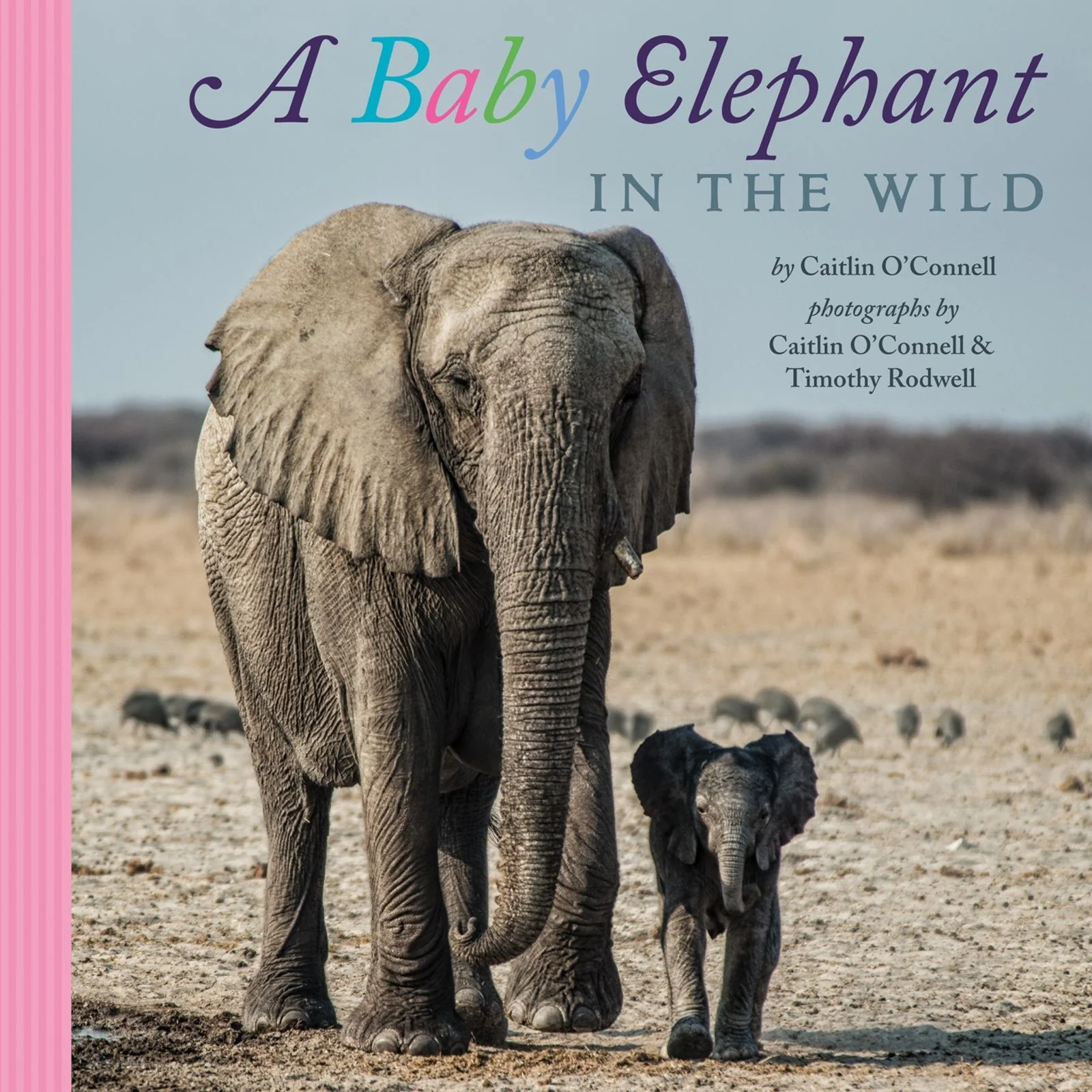 A Baby Elephant in the Wild - Image 2