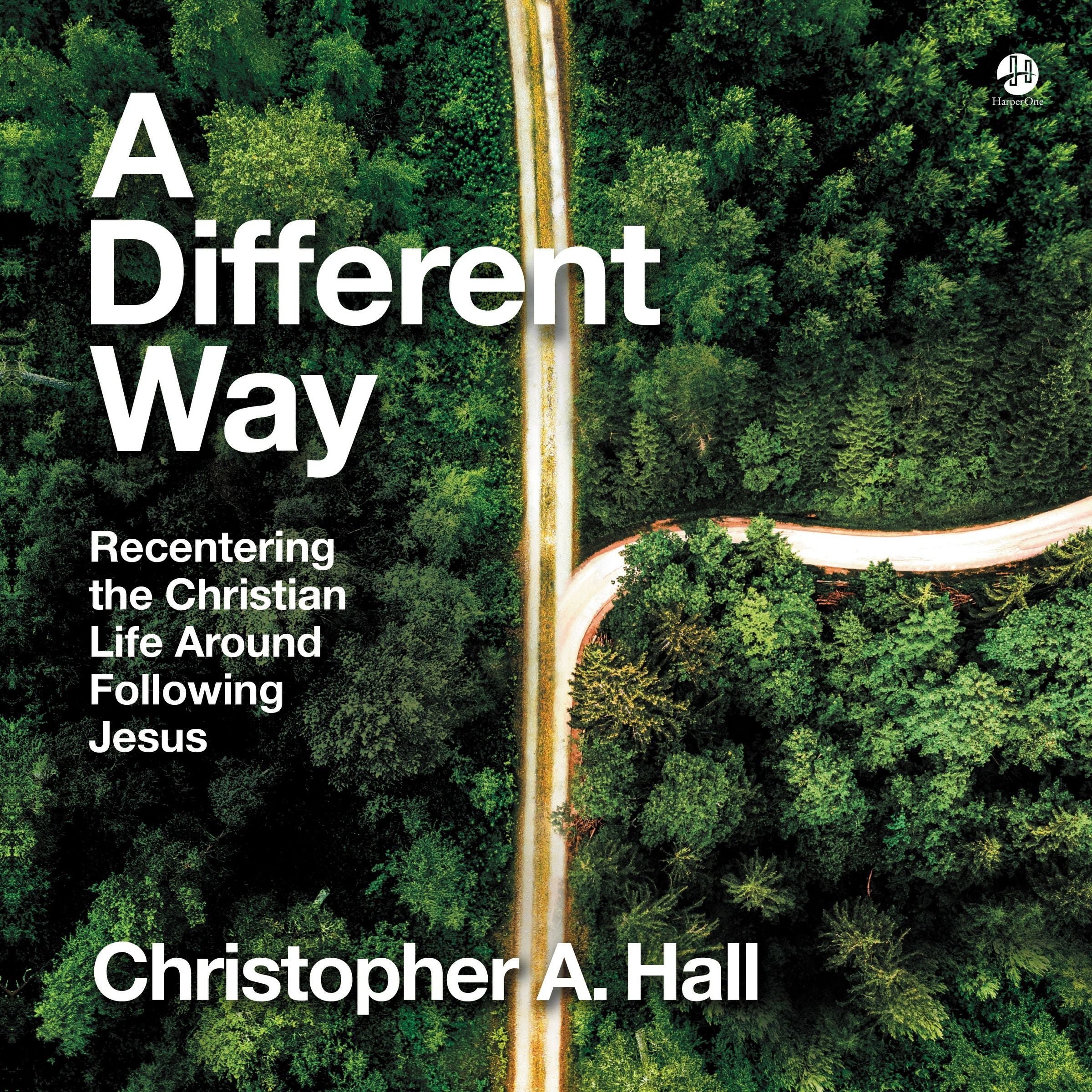 A Different Way - Image 4