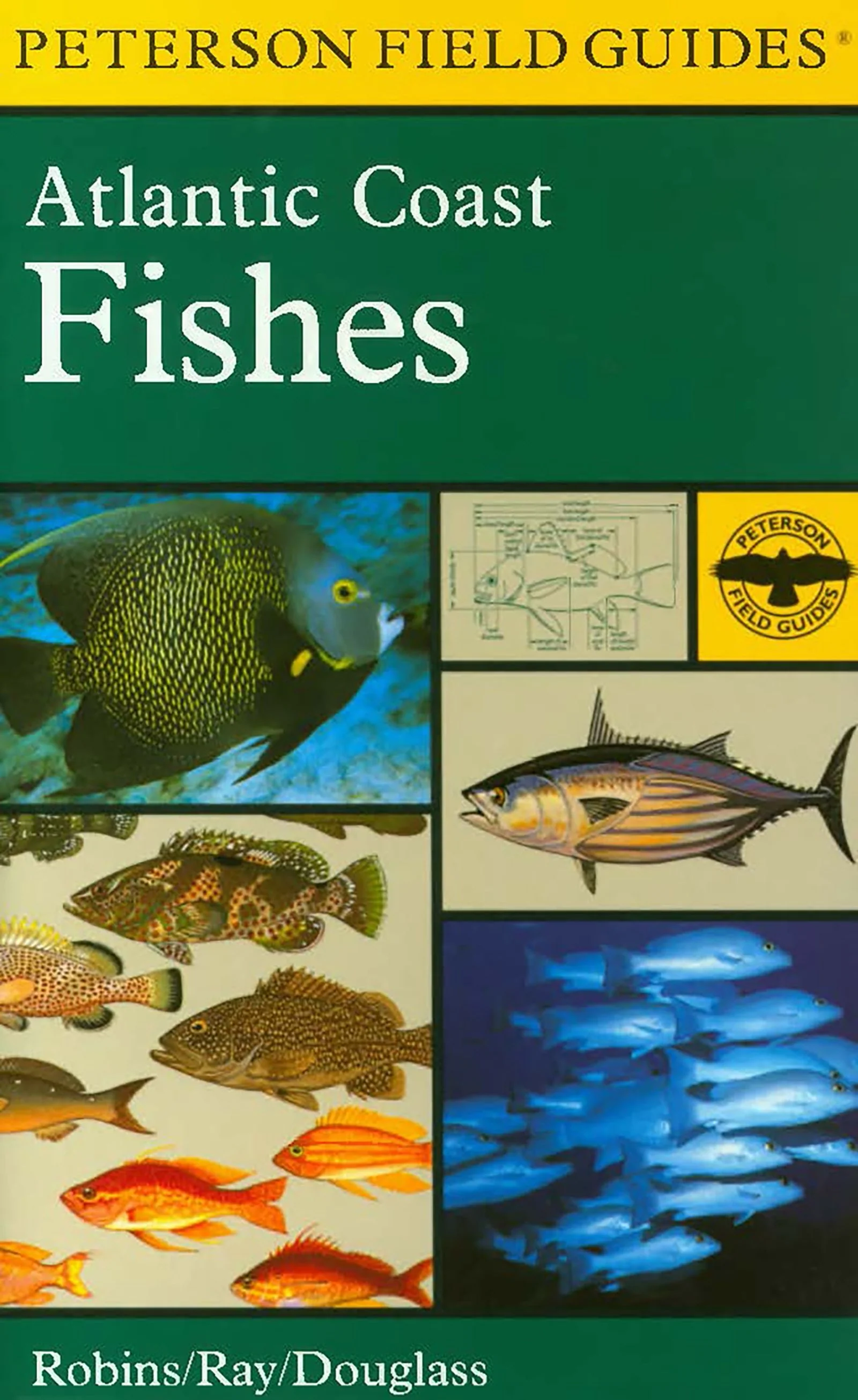 A Field Guide To Atlantic Coast Fishes - Image 2