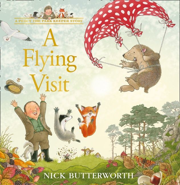 A Flying Visit - Image 3