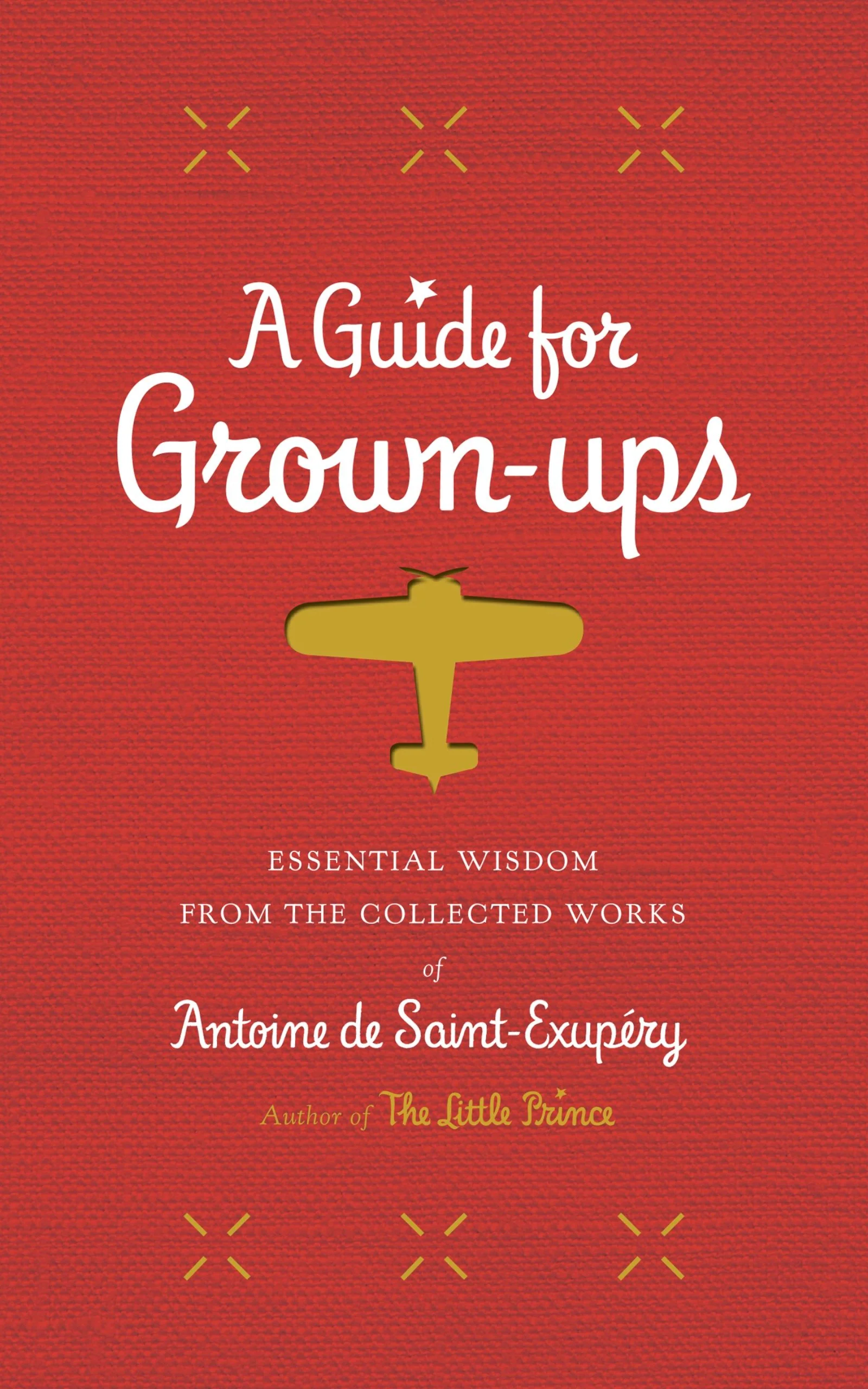 A Guide for Grown-Ups - Image 3