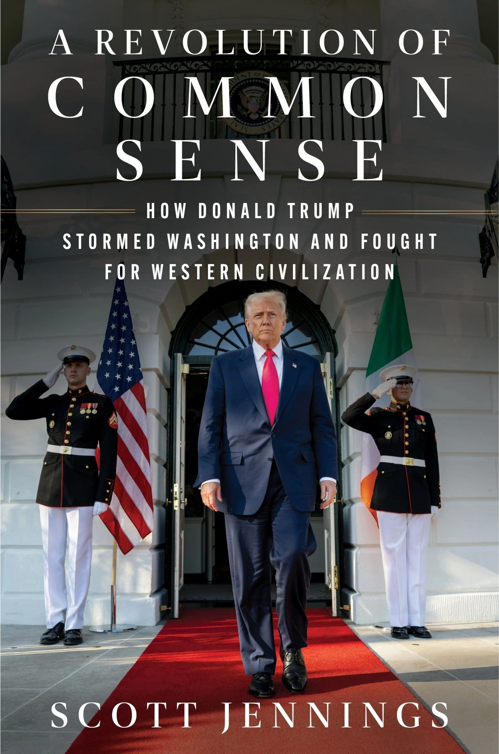 A Revolution of Common Sense - Image 2