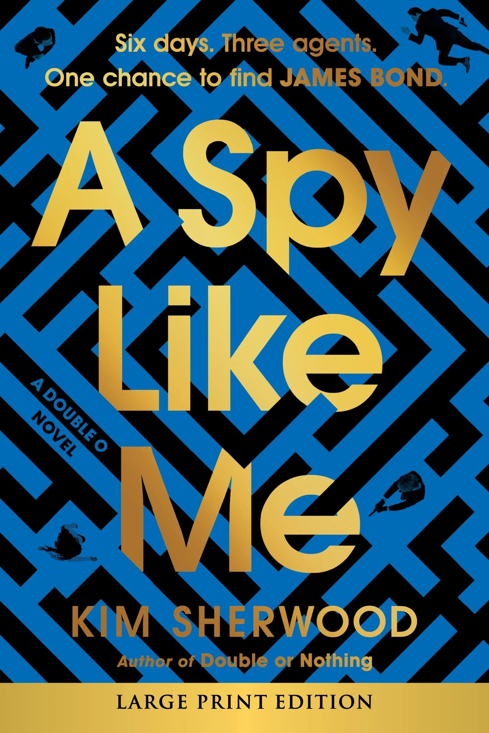 A Spy Like Me - Image 3