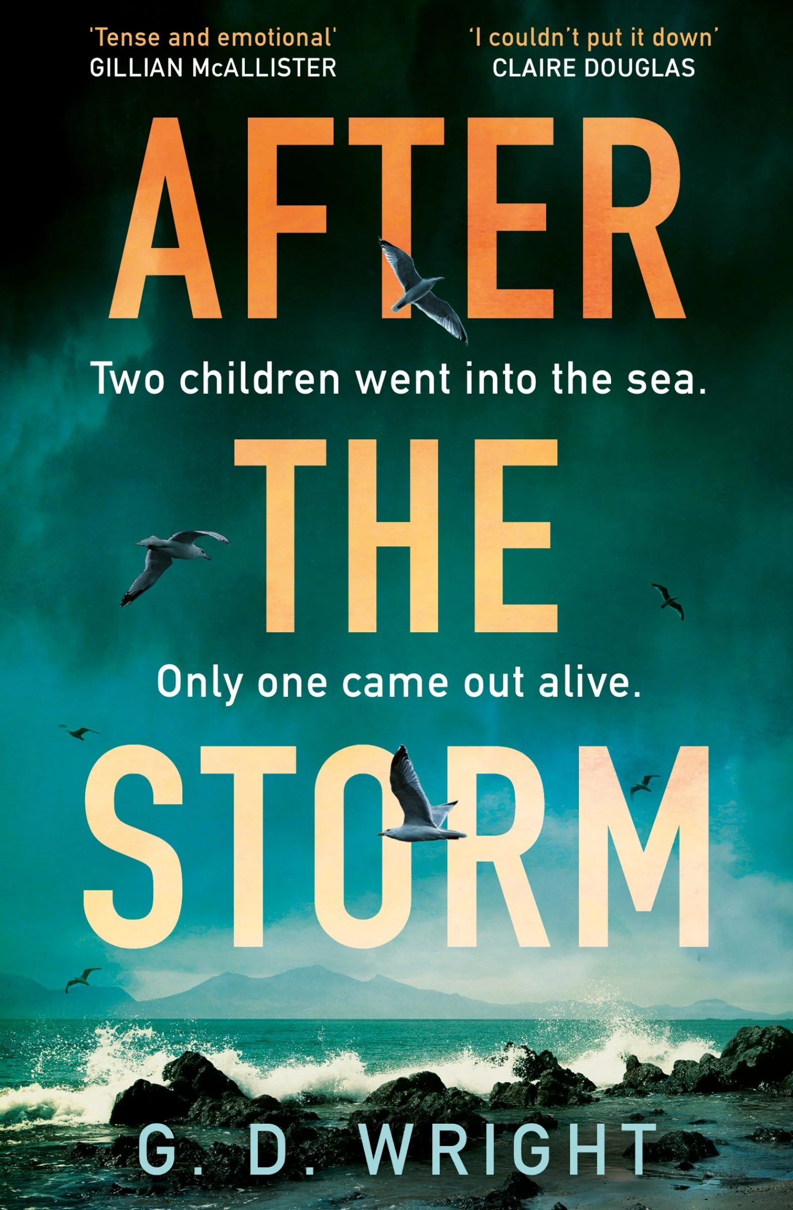After the Storm - Image 2