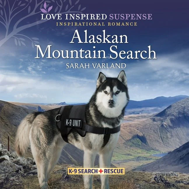 Alaskan Mountain Search - Image 2