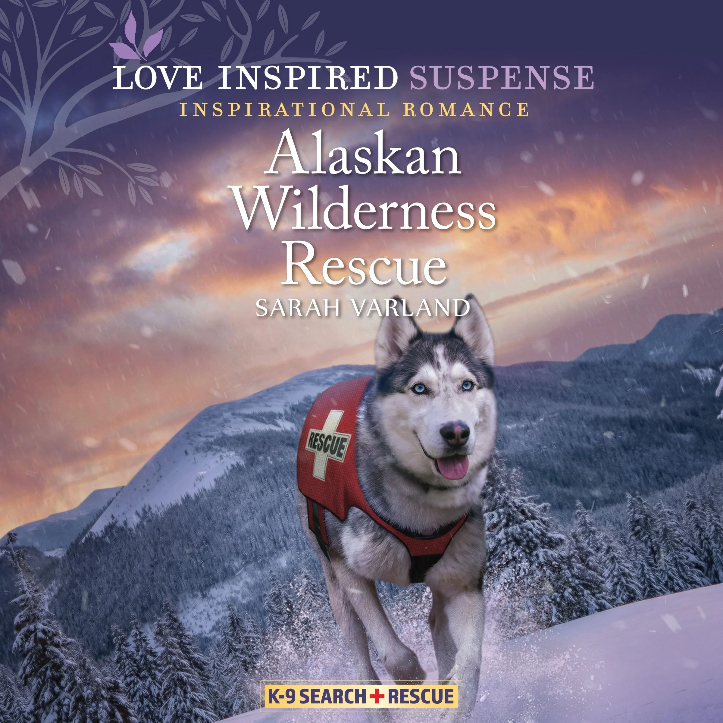 Alaskan Wilderness Rescue - Image 2