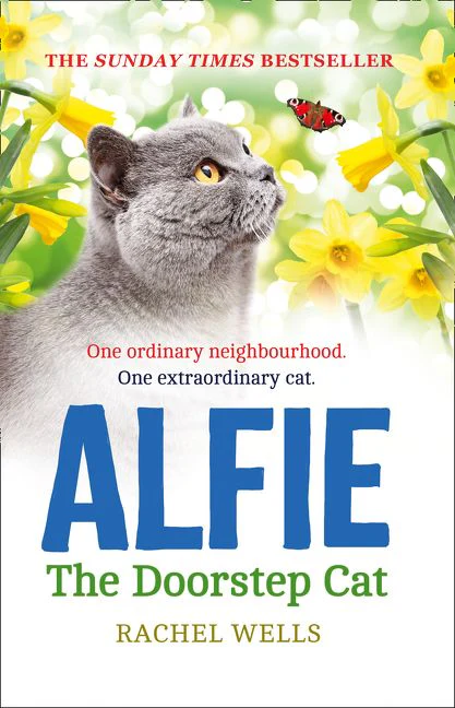 Alfie the Doorstep Cat - Image 2