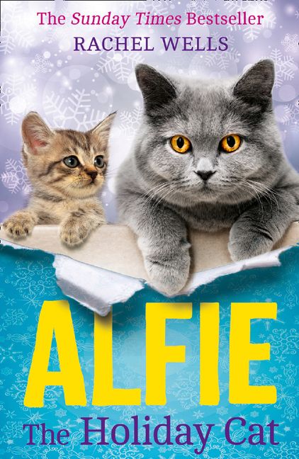 Alfie the Holiday Cat - Image 2