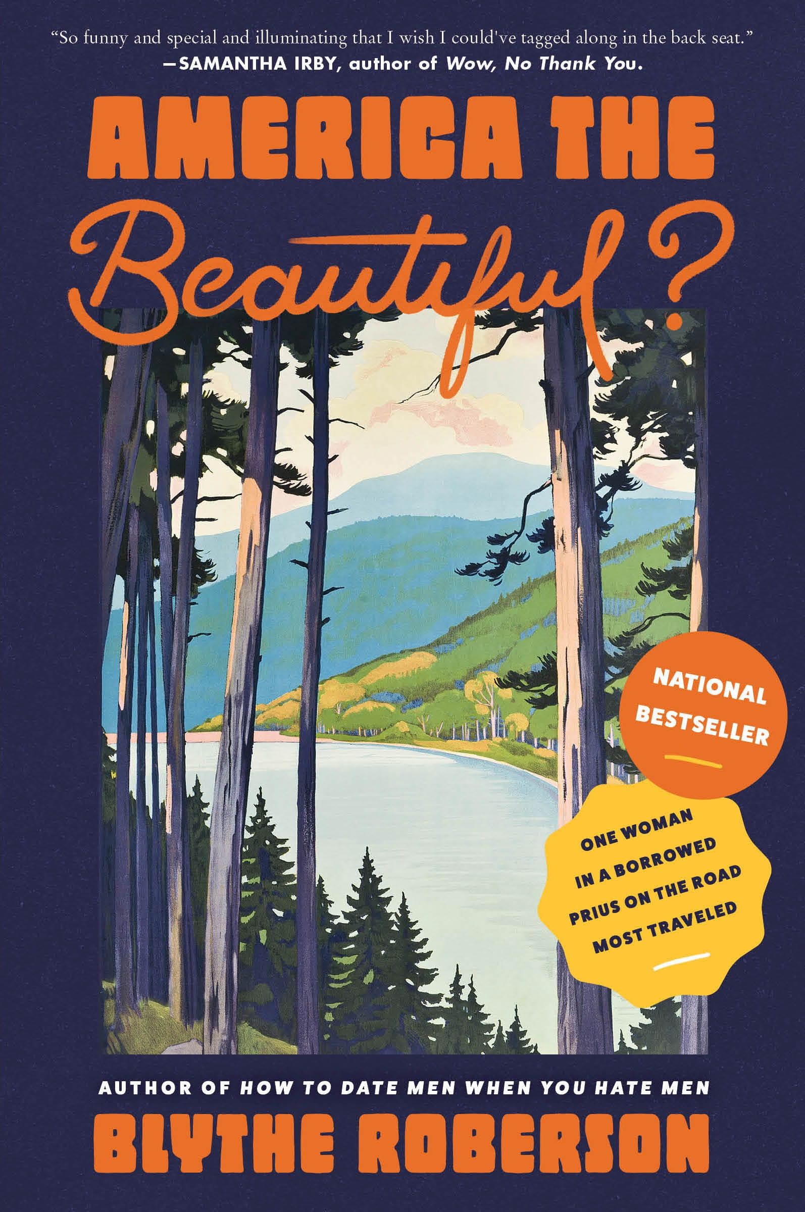America the Beautiful? - Image 3