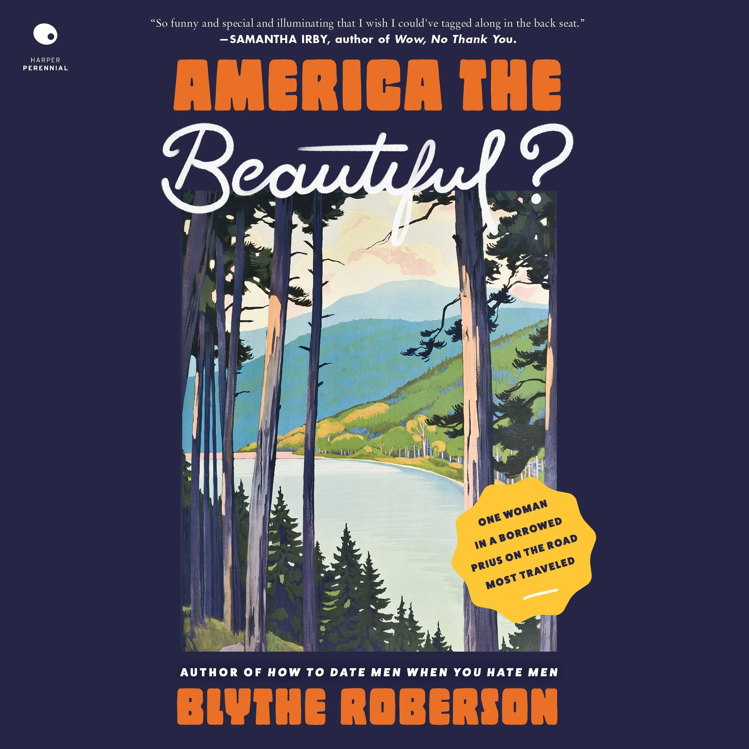 America the Beautiful? - Image 4