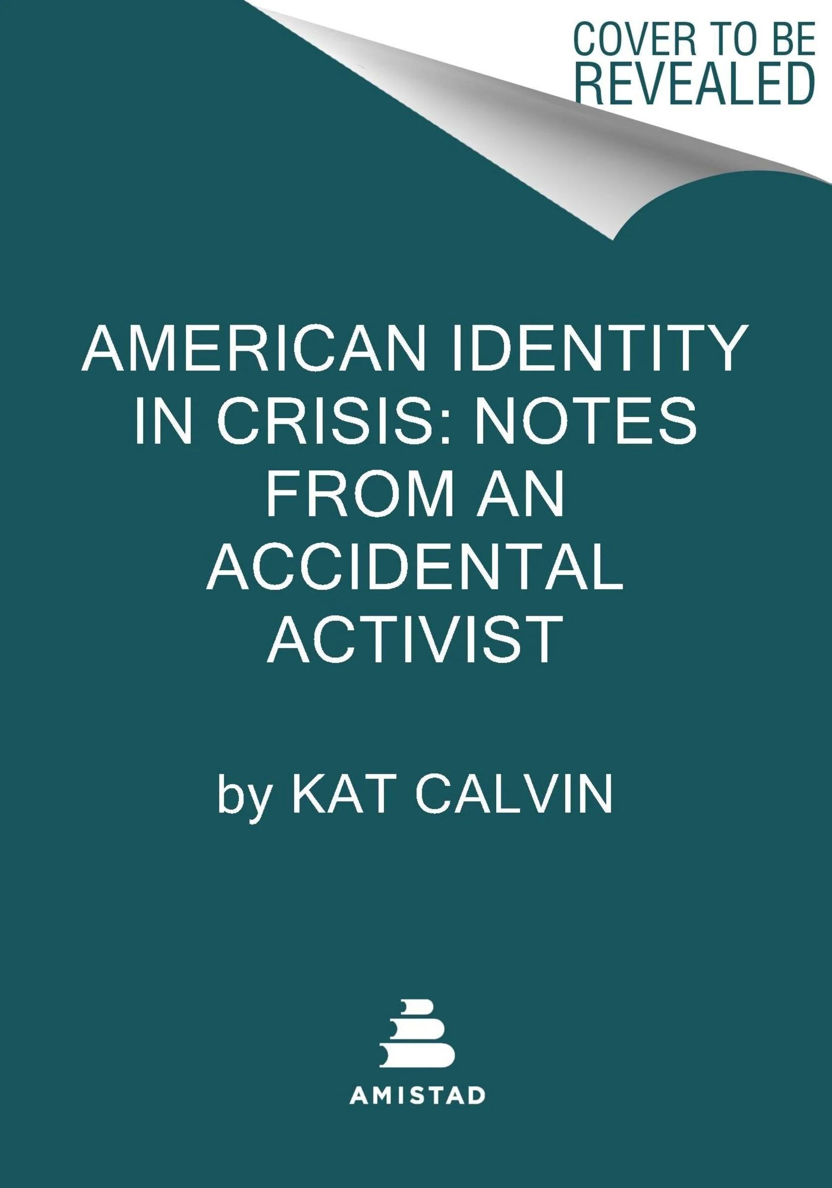 American Identity in Crisis: Notes from an Accidental Activist - Image 3