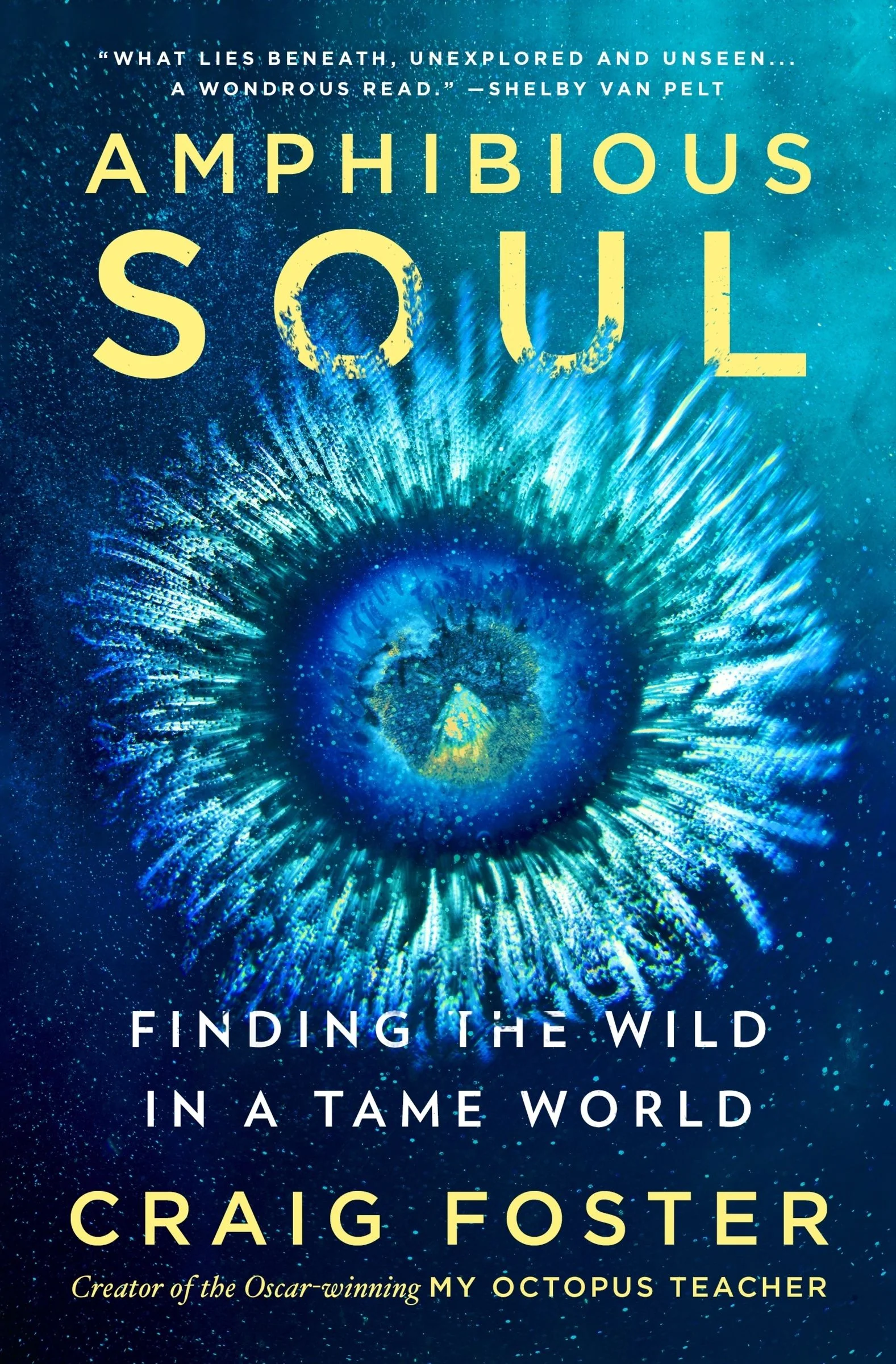 Amphibious Soul - Image 2
