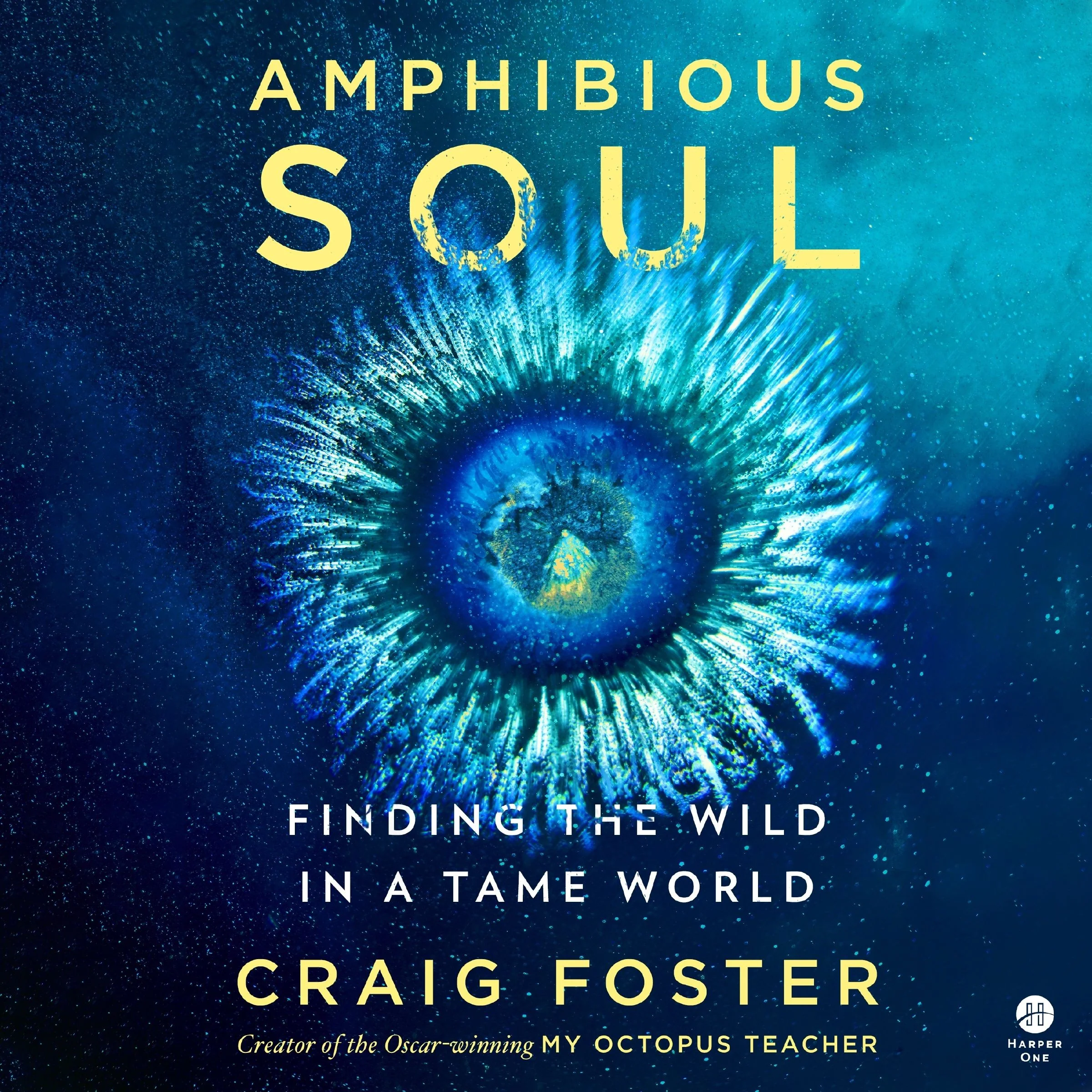 Amphibious Soul - Image 5