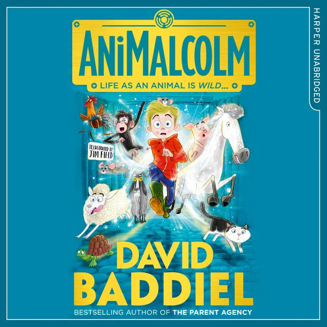 AniMalcolm - Image 3
