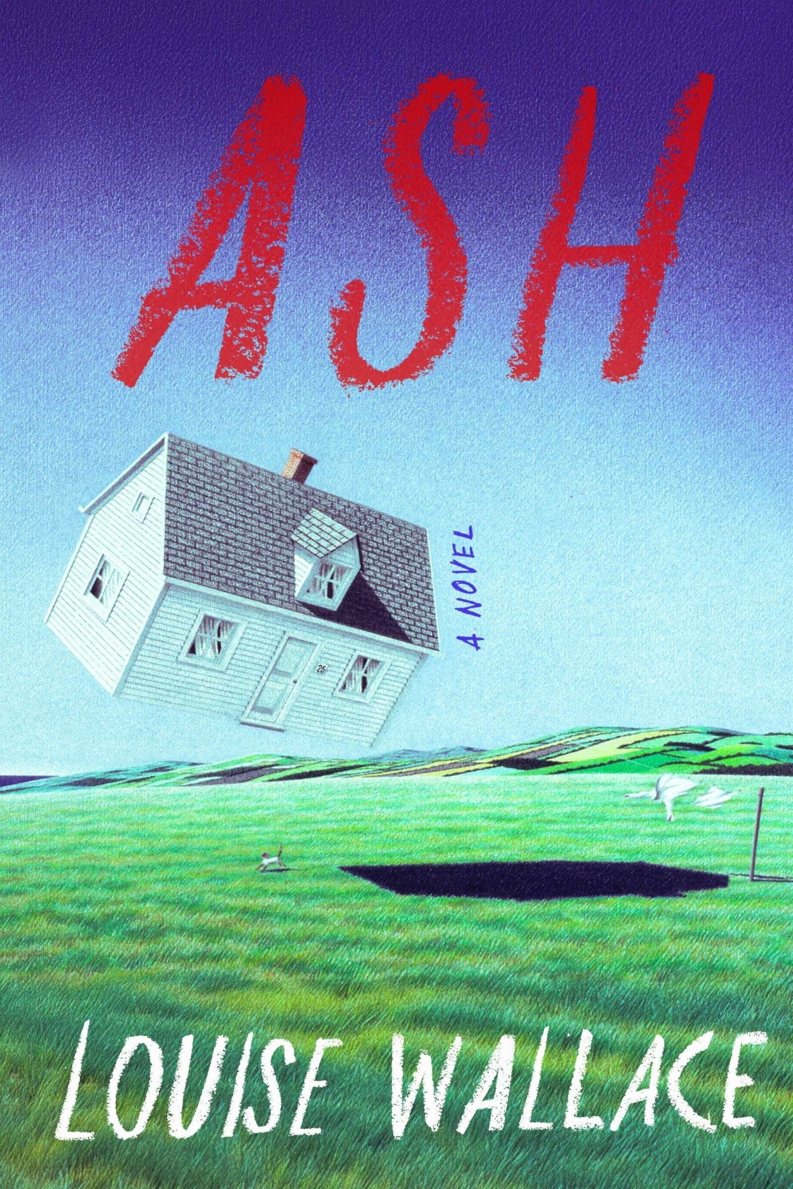 Ash - Image 3