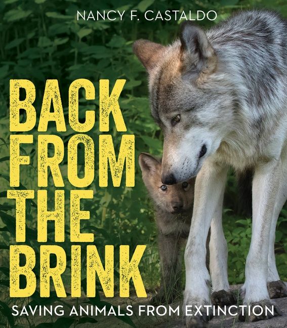 Back from the Brink - Image 2
