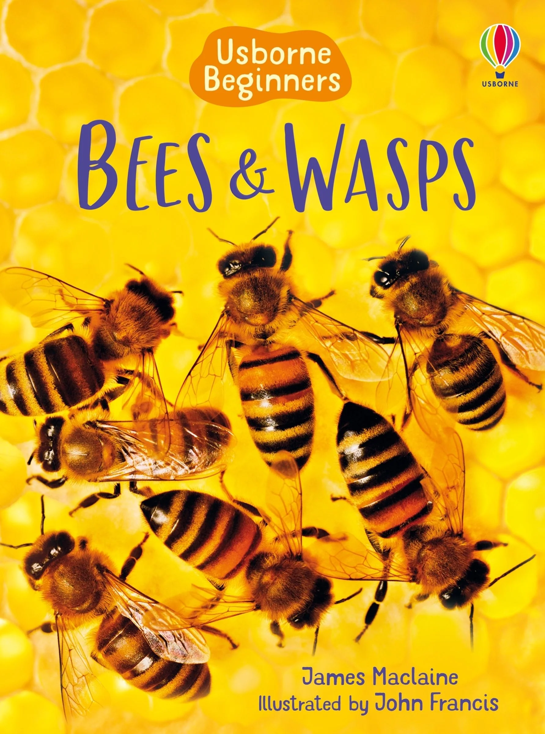 Bees and Wasps (Usborne Beginners) - Image 2