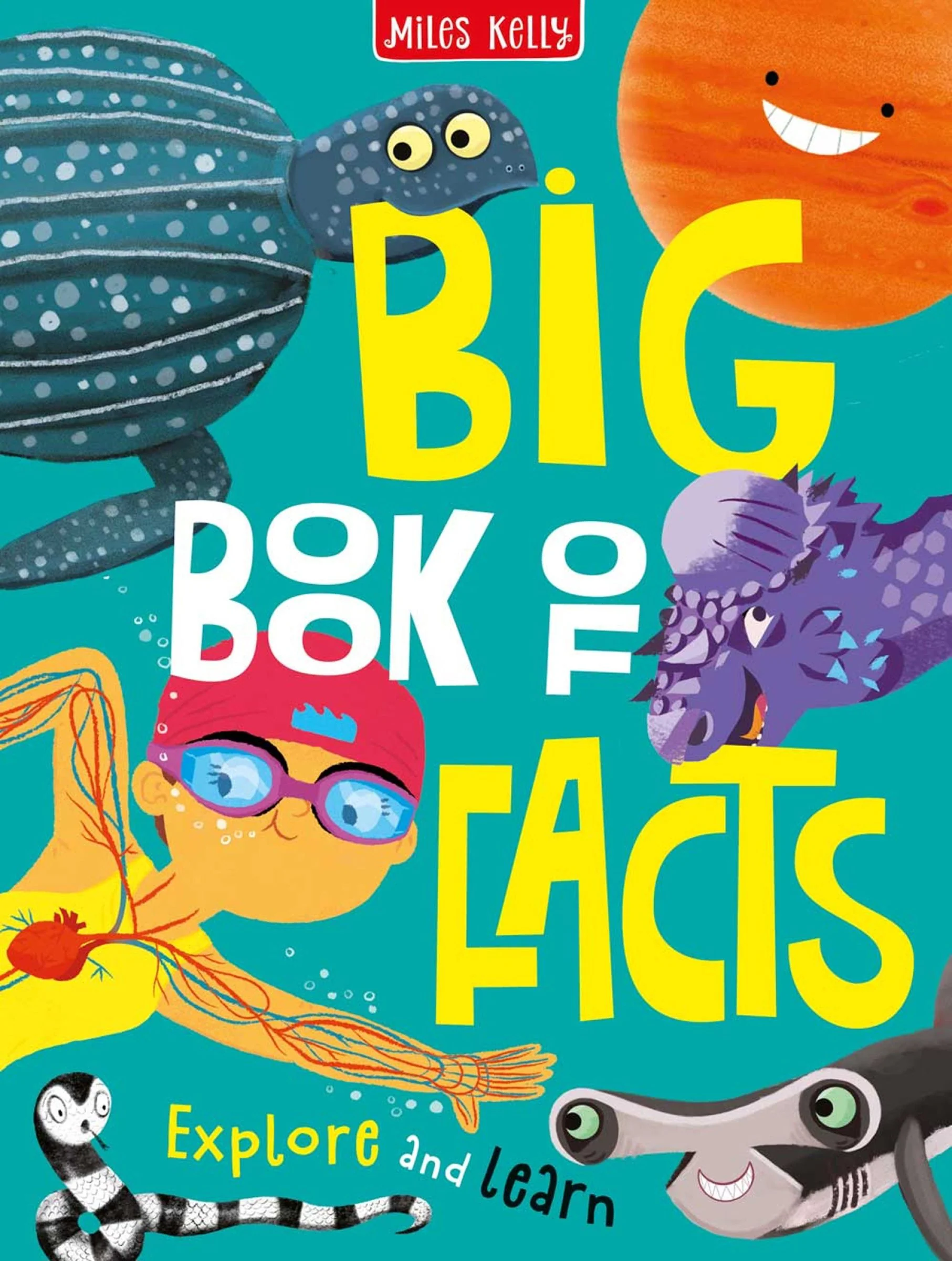 Big Book of Facts - Image 2