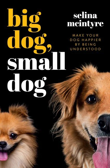 Big Dog Small Dog: Make Your Dog Happier By Being Understood - Image 2