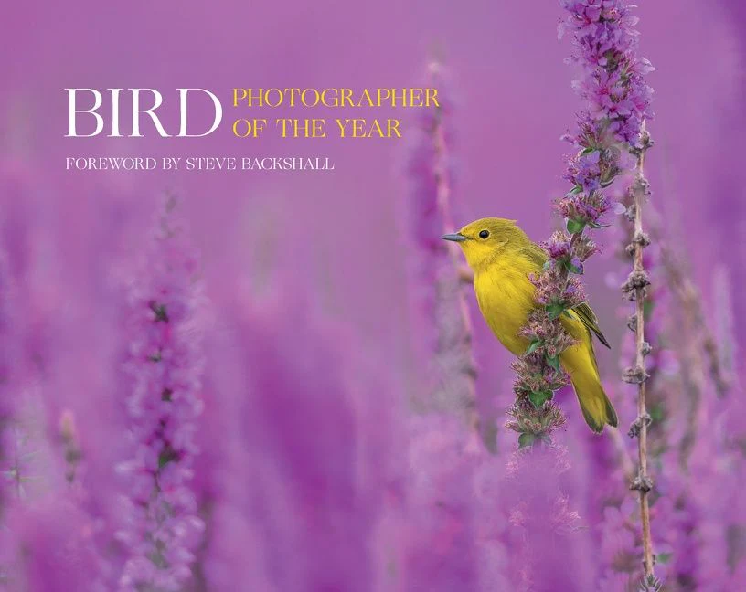Bird Photographer of the Year: Collection 7 (Bird Photographer of the Year) - Image 2