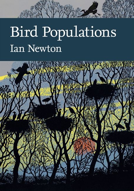 Bird Populations - Image 2
