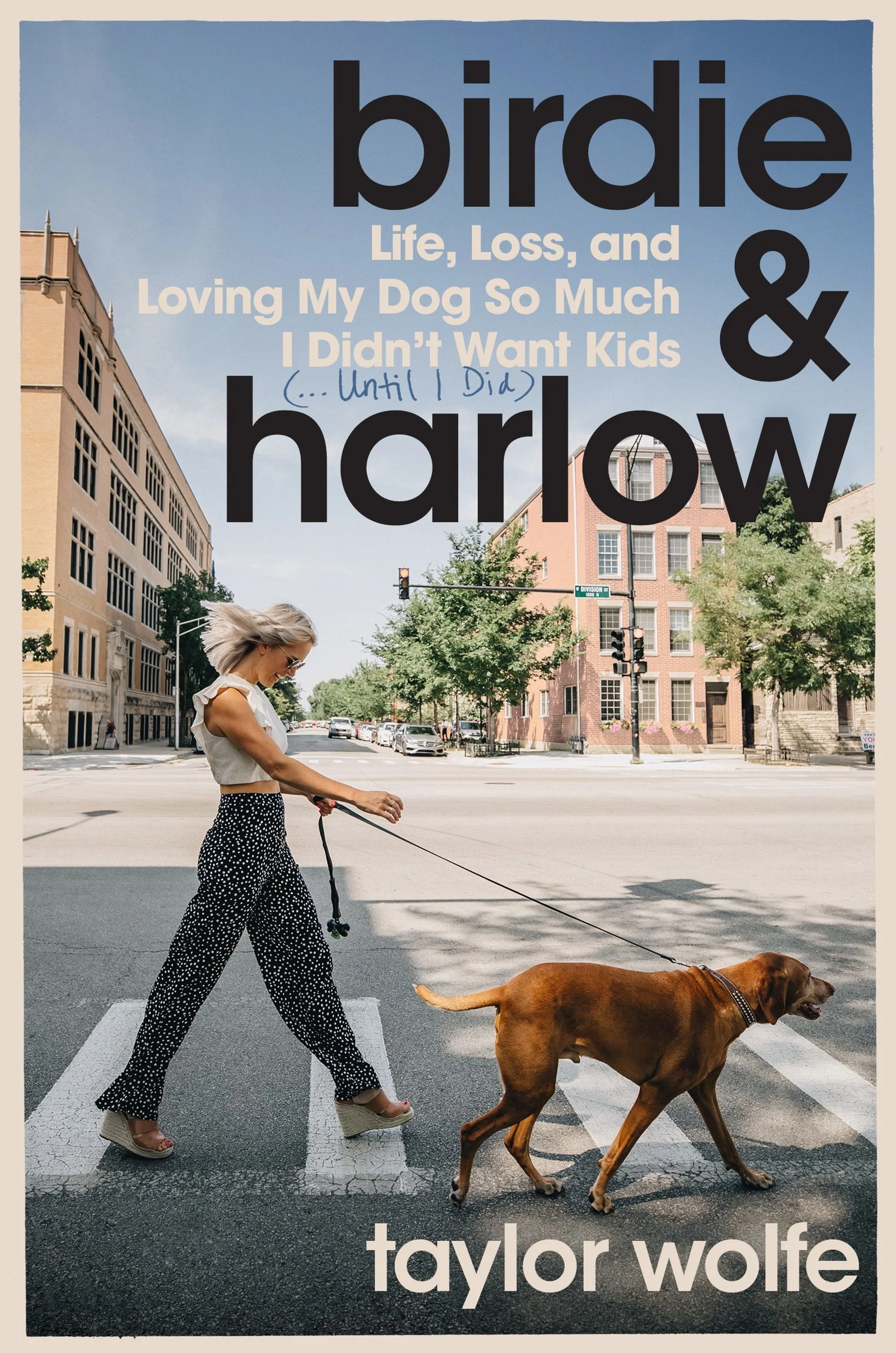 Birdie & Harlow - Image 4