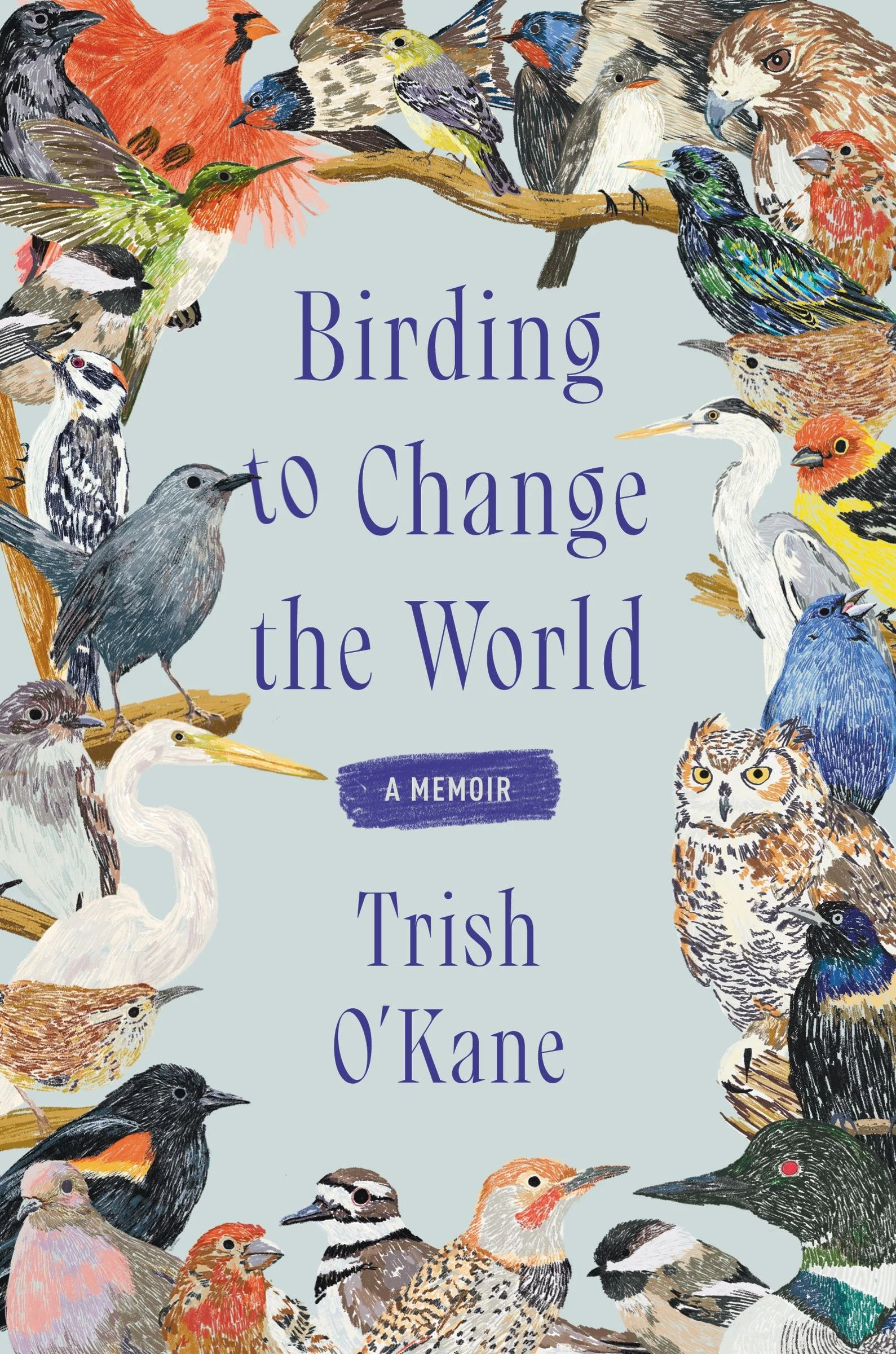 Birding to Change the World - Image 4