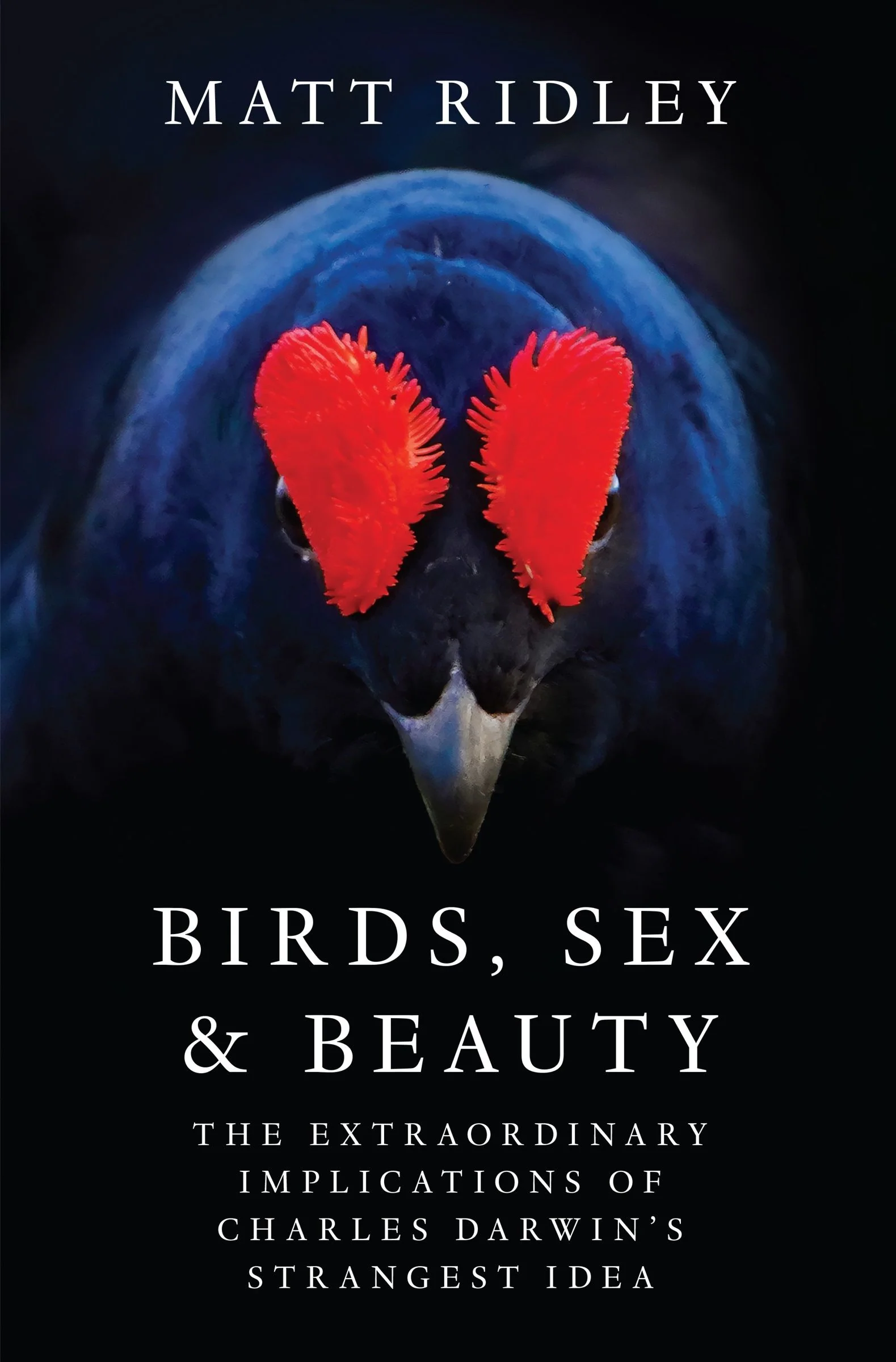 Birds, Sex and Beauty - Image 3