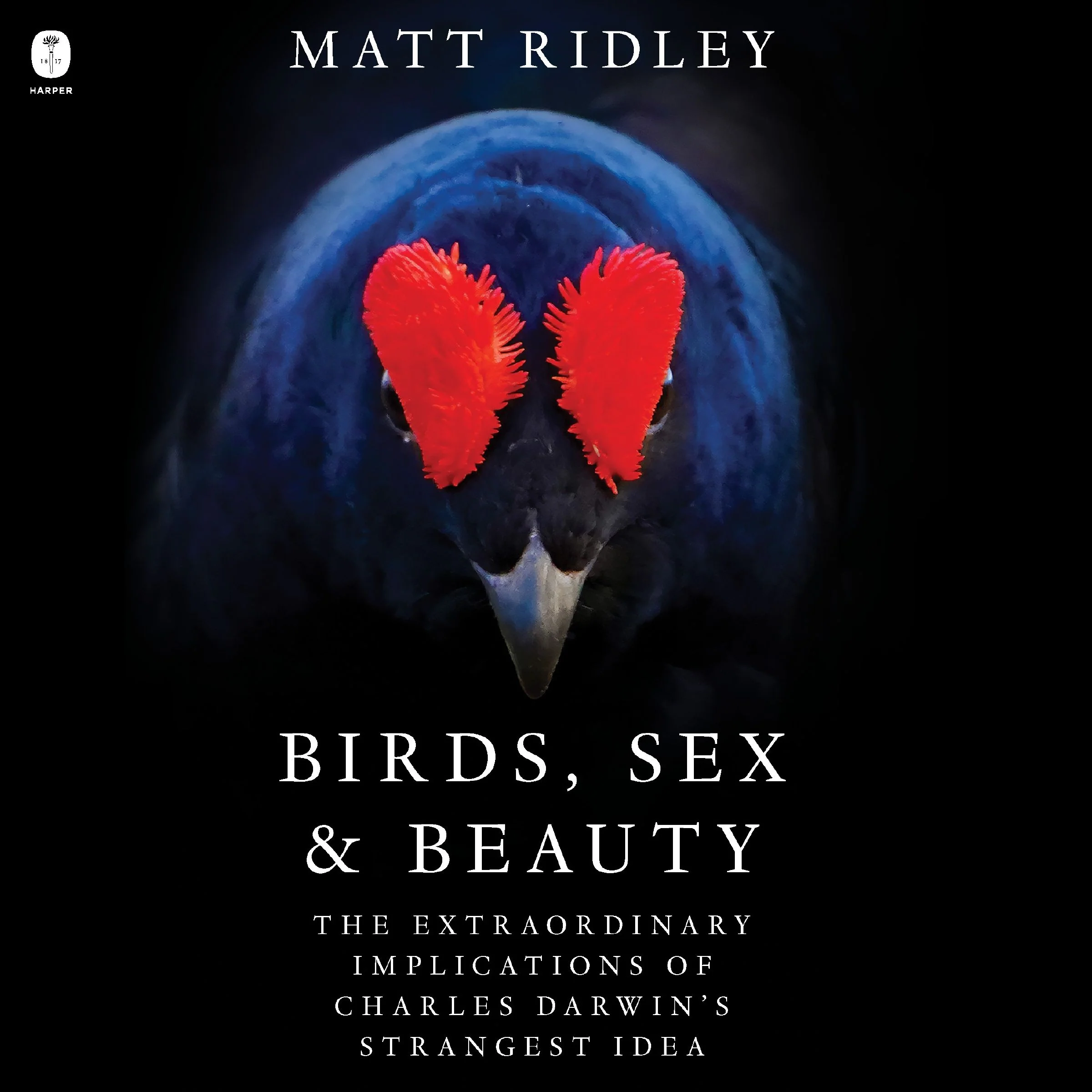 Birds, Sex and Beauty - Image 4