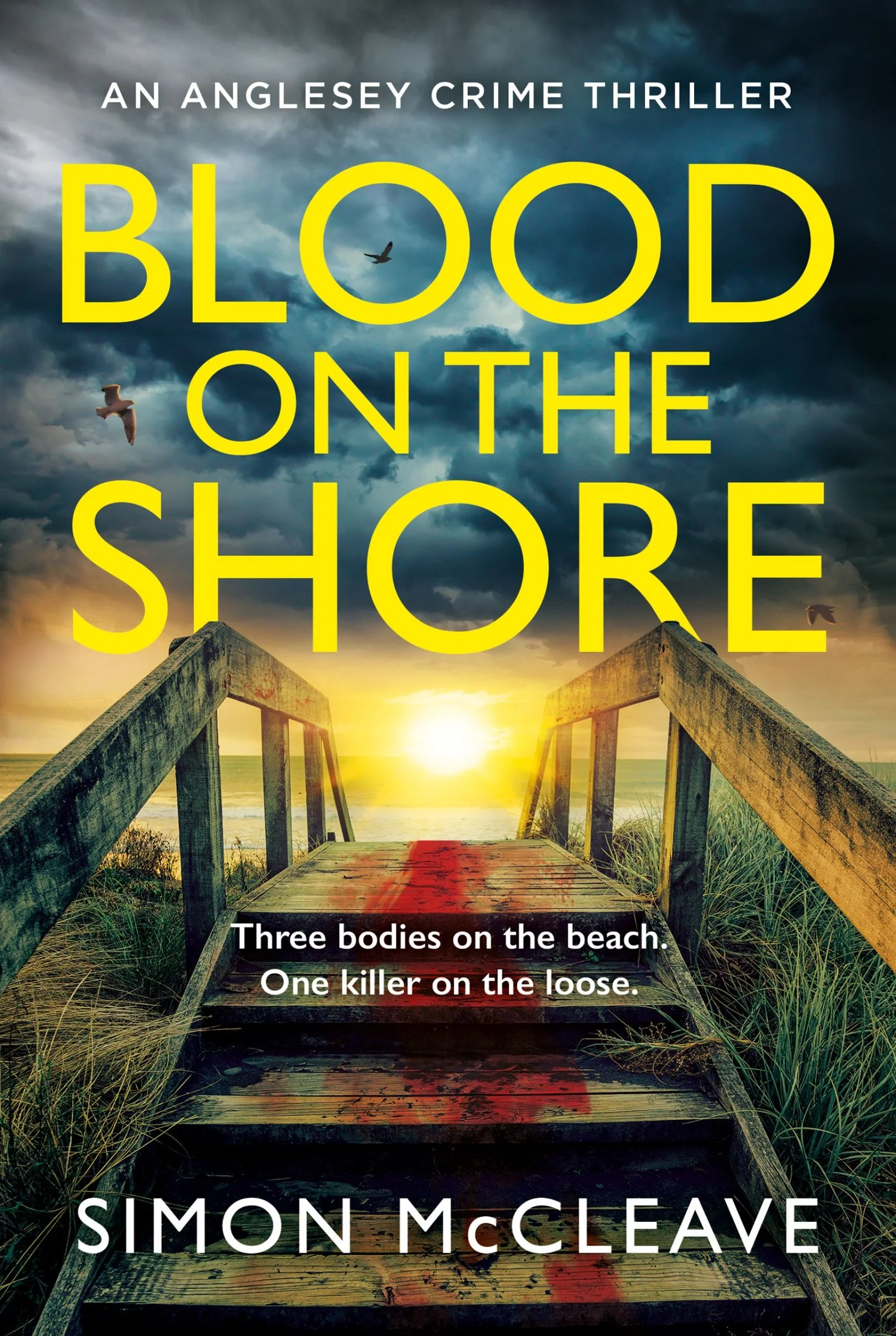Blood on the Shore (The Anglesey Series, Book 3) - Image 4