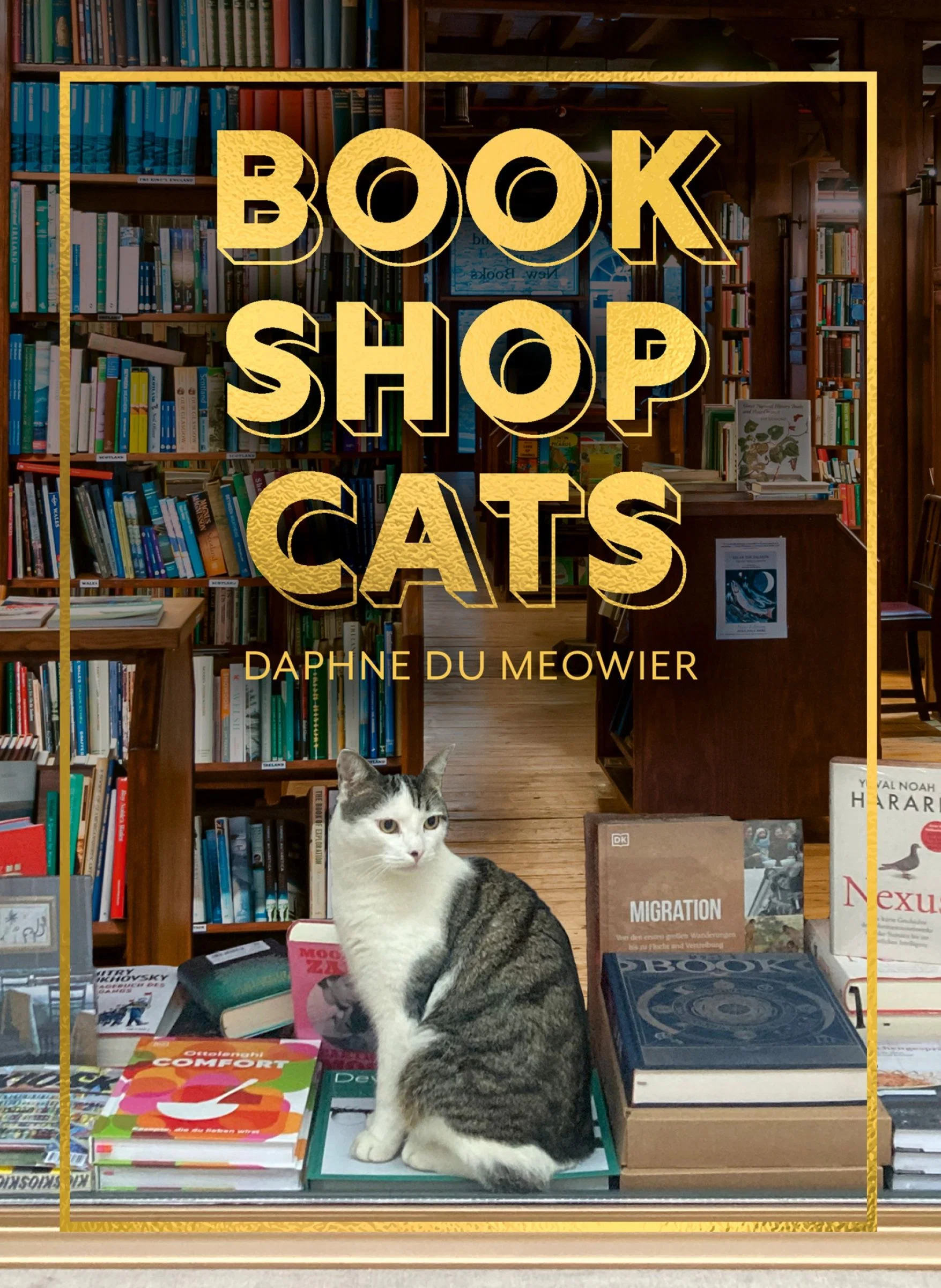 Bookshop Cats - Image 2