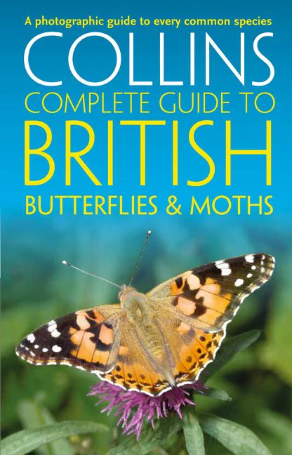 British Butterflies and Moths - Image 2