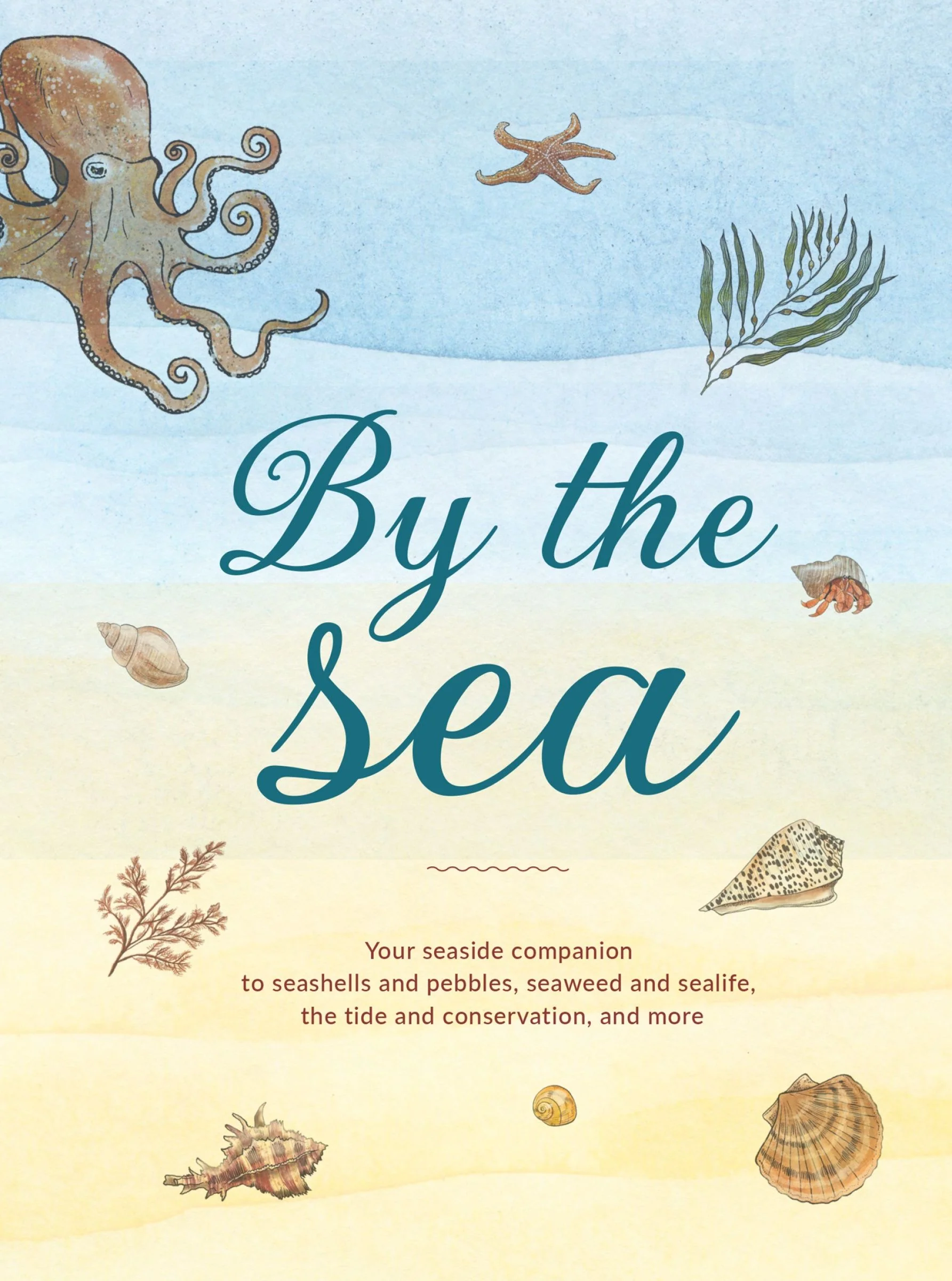 By the Sea: Your coastline companion, from beautiful beaches and marine miscellany, to stunning seashells, seaweed, and sealife (Hidden Nature series) - Image 3