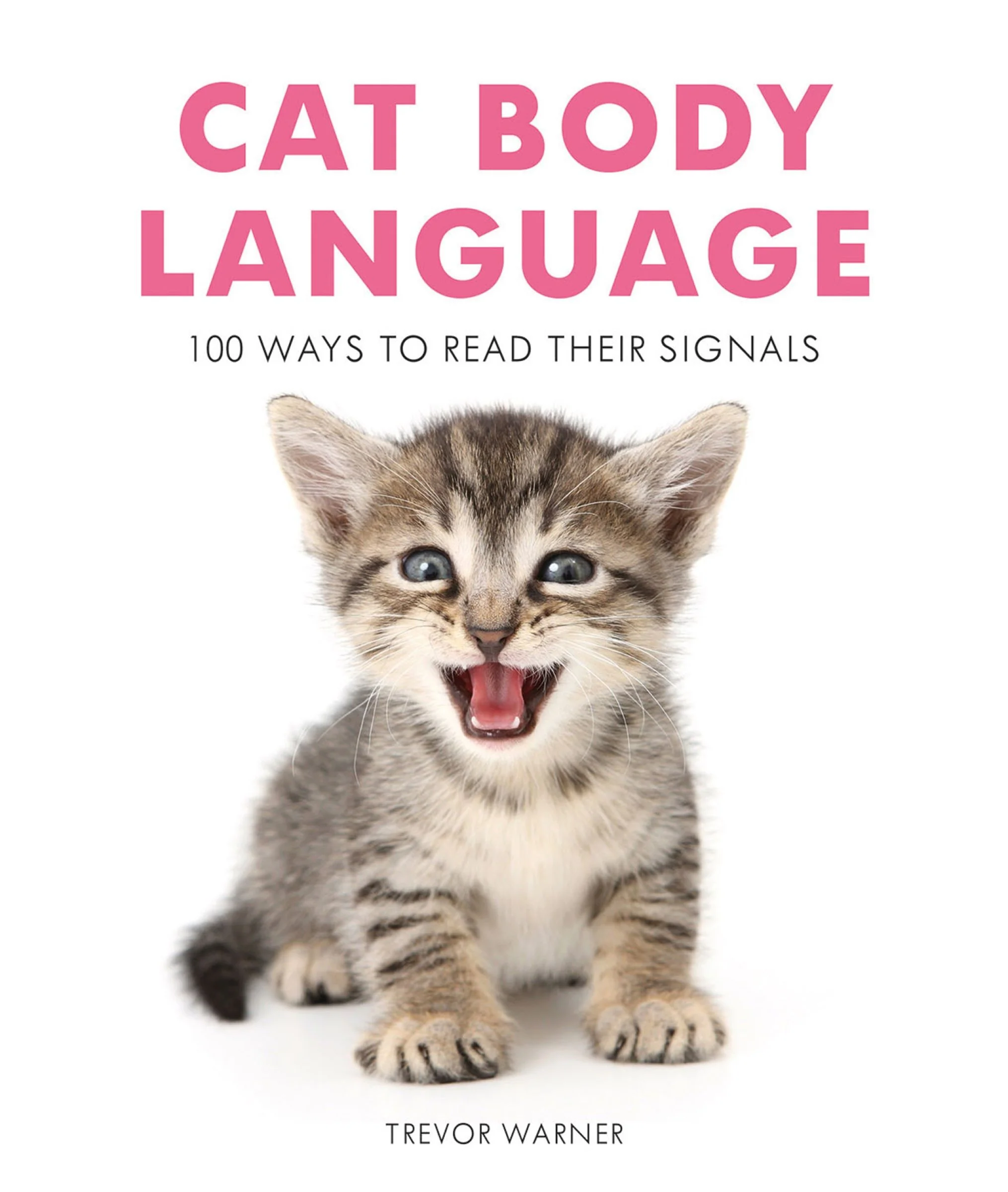 Cat Body Language: 100 Ways To Read Their Signals - Image 2