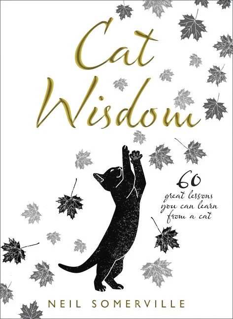 Cat Wisdom - Image 2