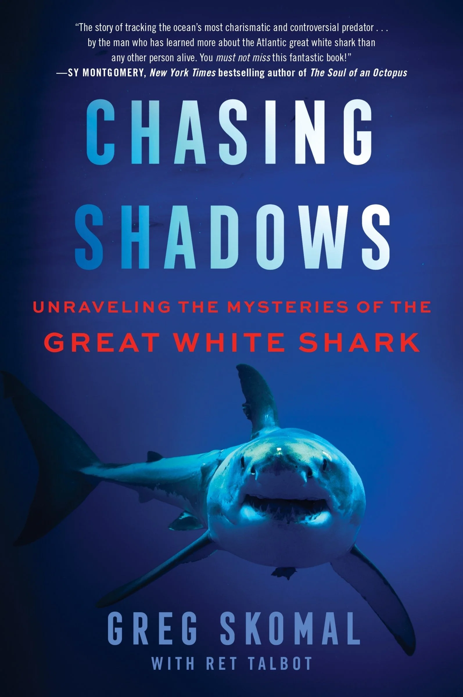 Chasing Shadows - Image 3