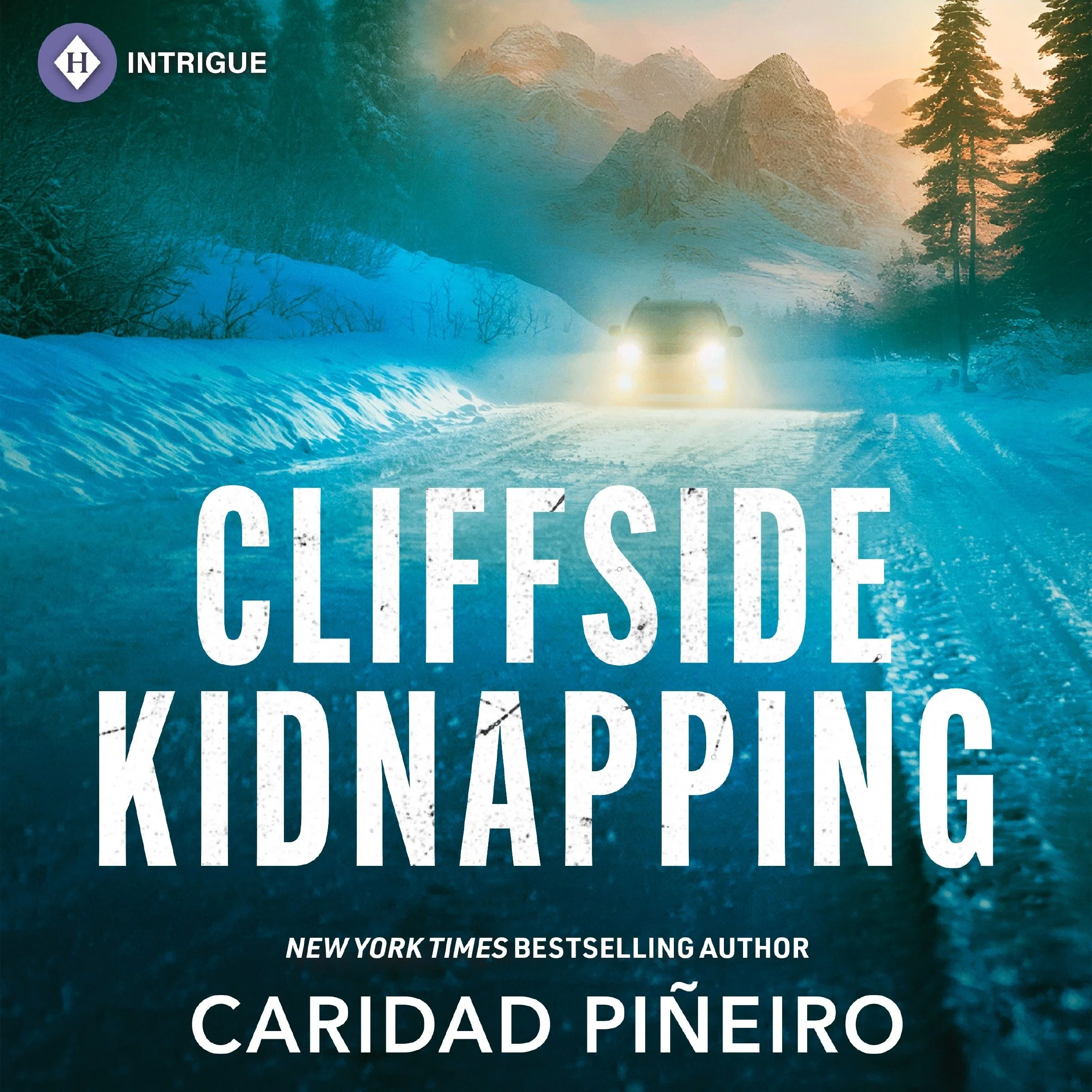 Cliffside Kidnapping - Image 2