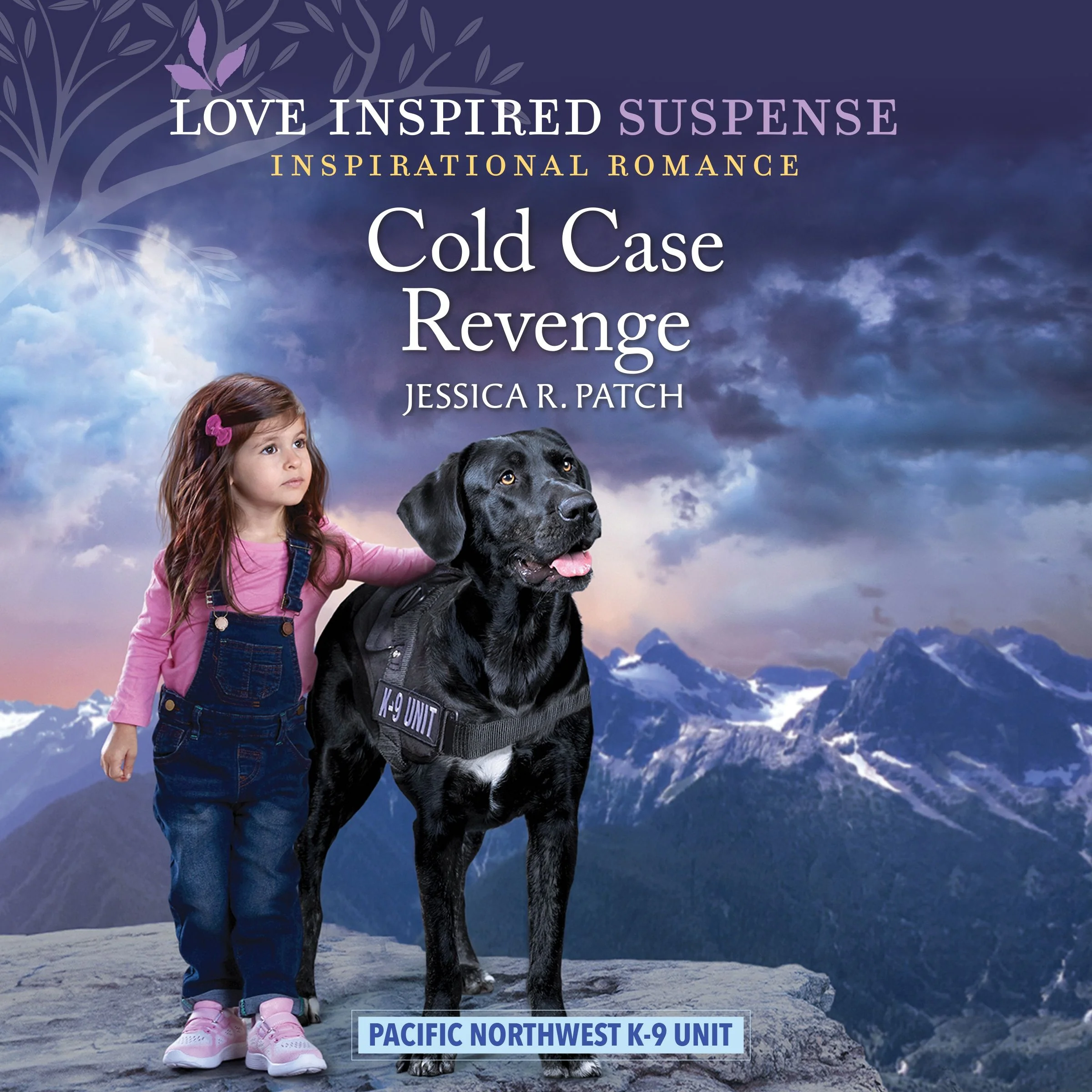 Cold Case Revenge - Image 2