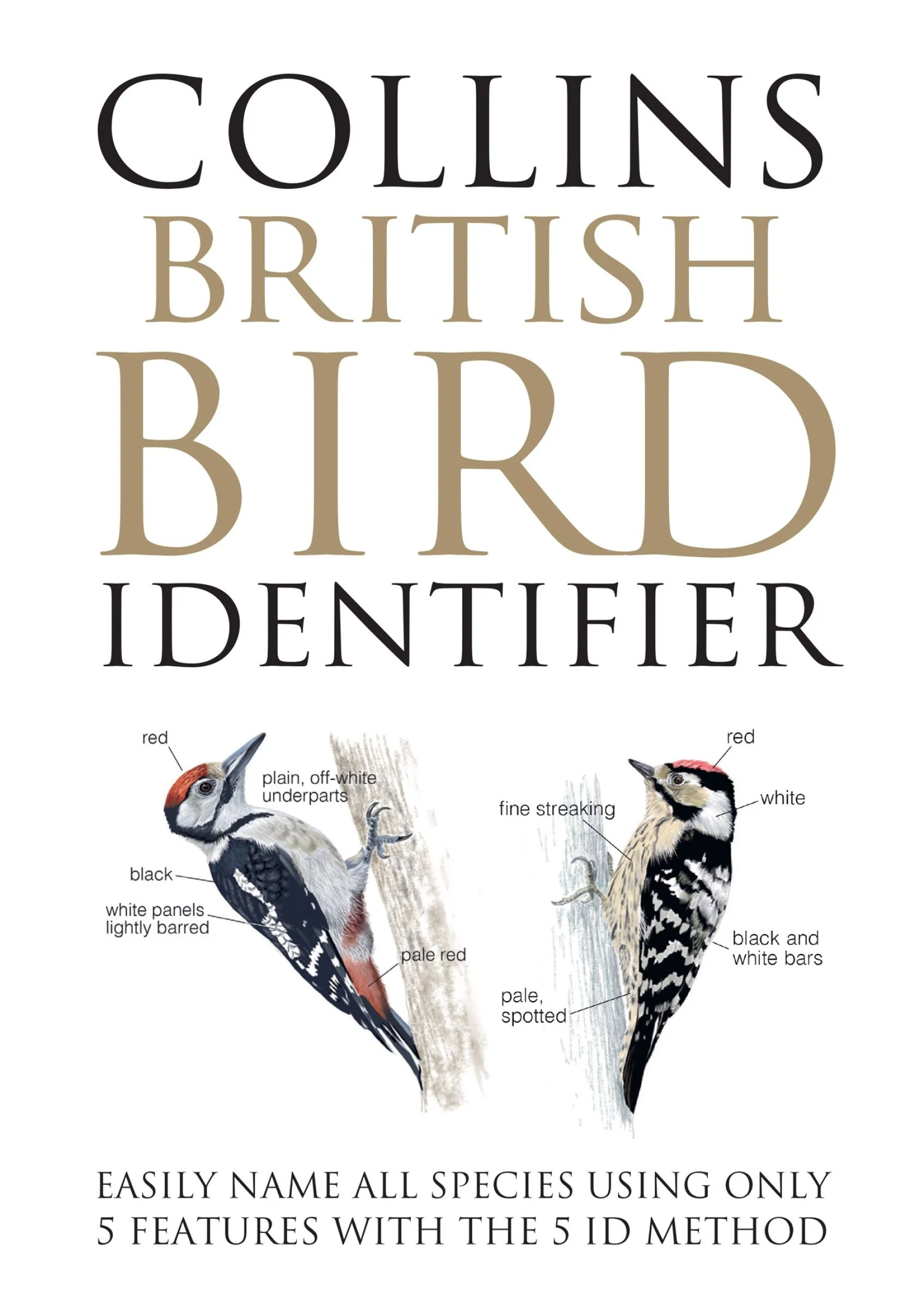 Collins British Bird Identifier: Easily Name All Species Using Only 5 Features With the 5 ID Method - Image 2