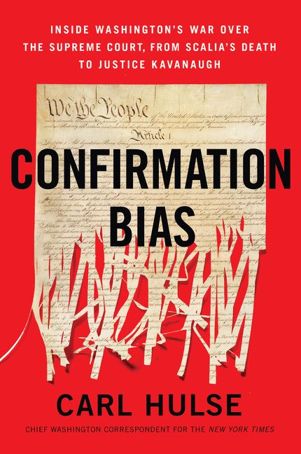 Confirmation Bias - Image 2