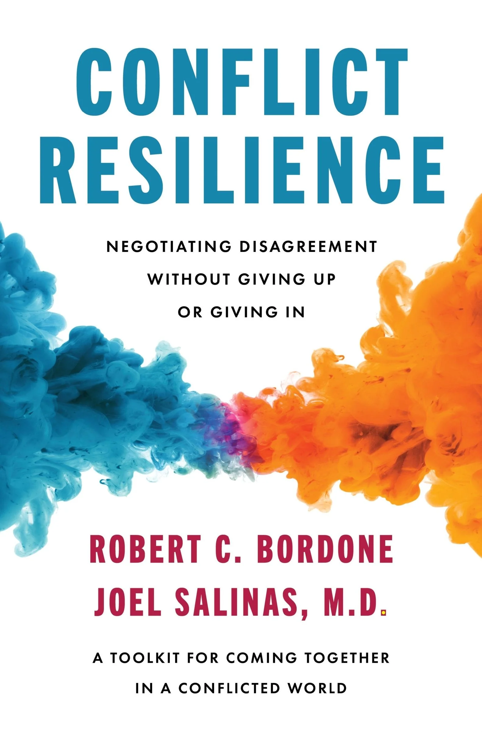 Conflict Resilience - Image 2