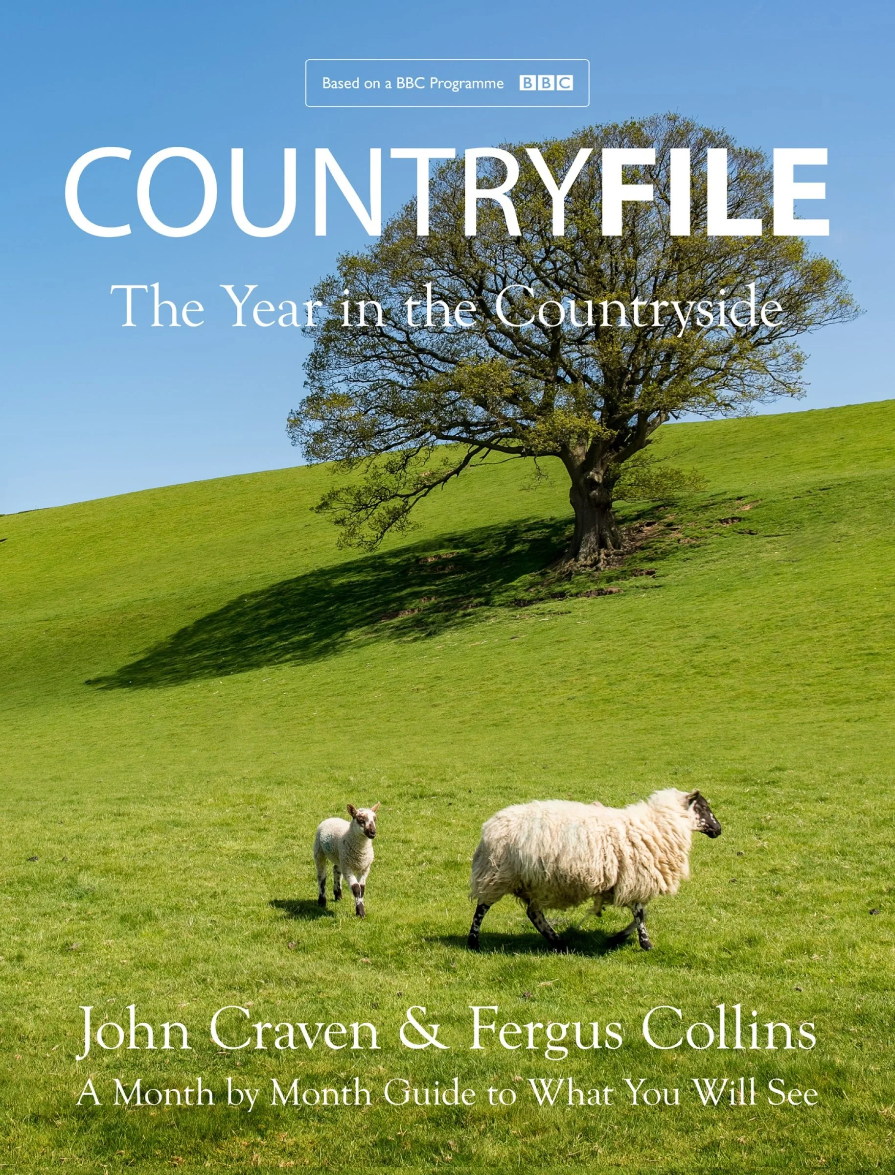 Countryfile: A Year in the Countryside - Image 3
