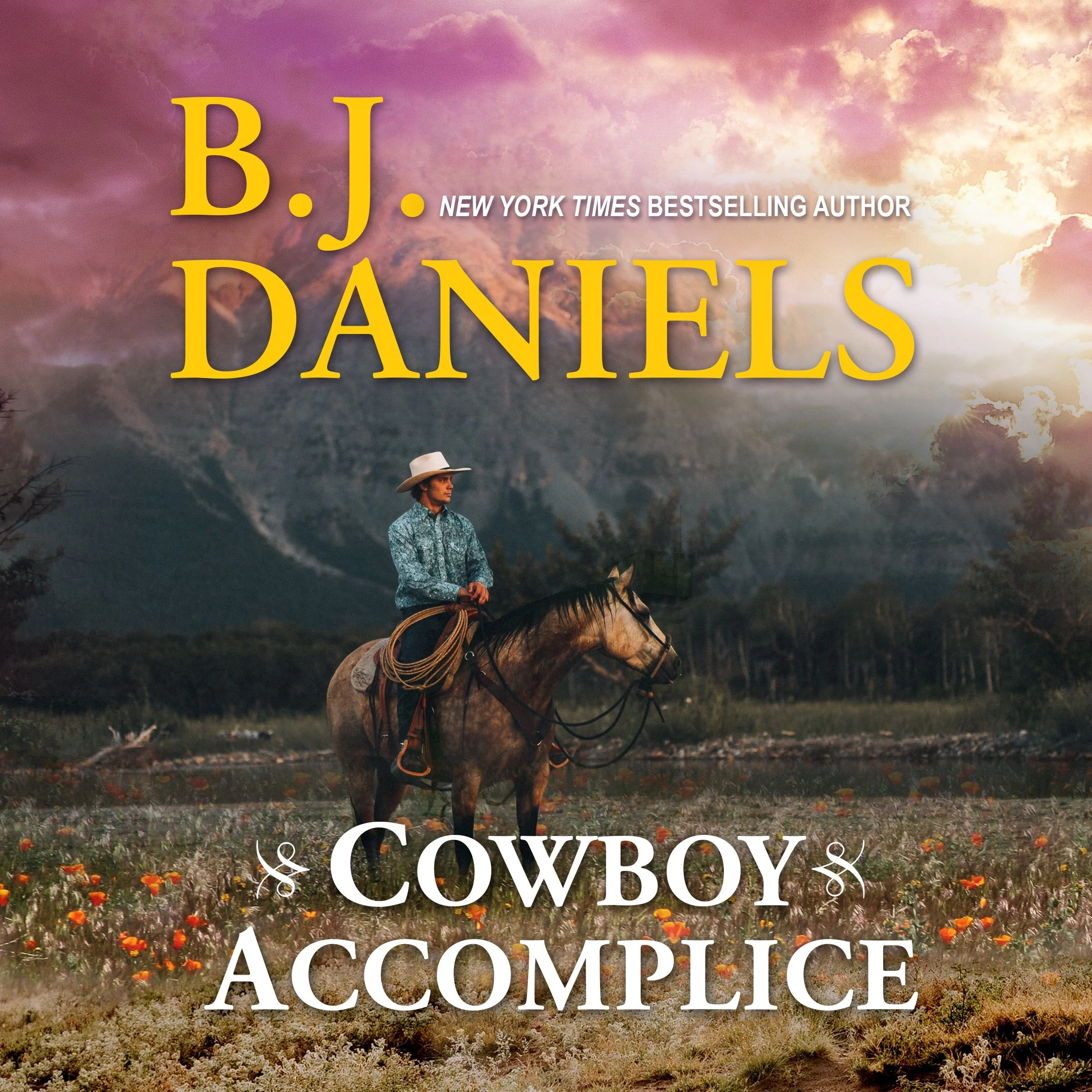 Cowboy Accomplice - Image 2