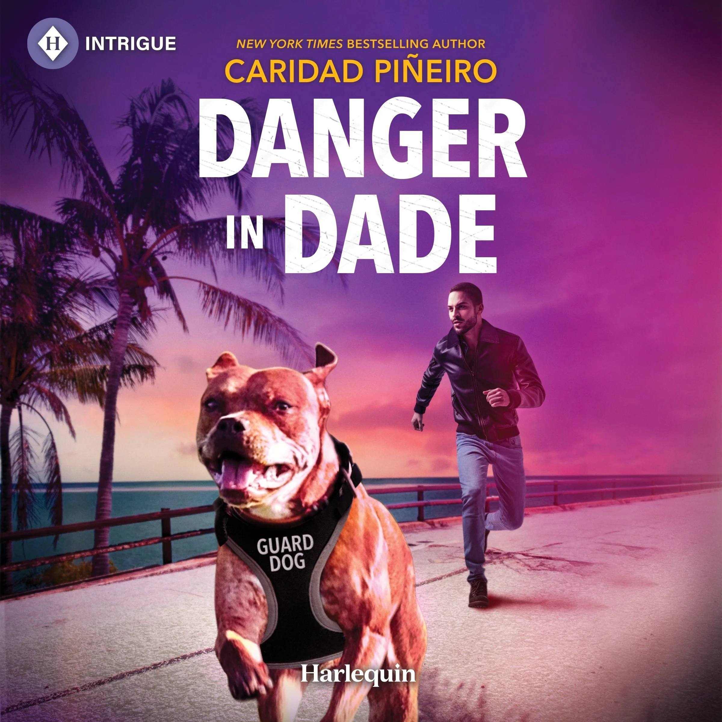 Danger in Dade - Image 2