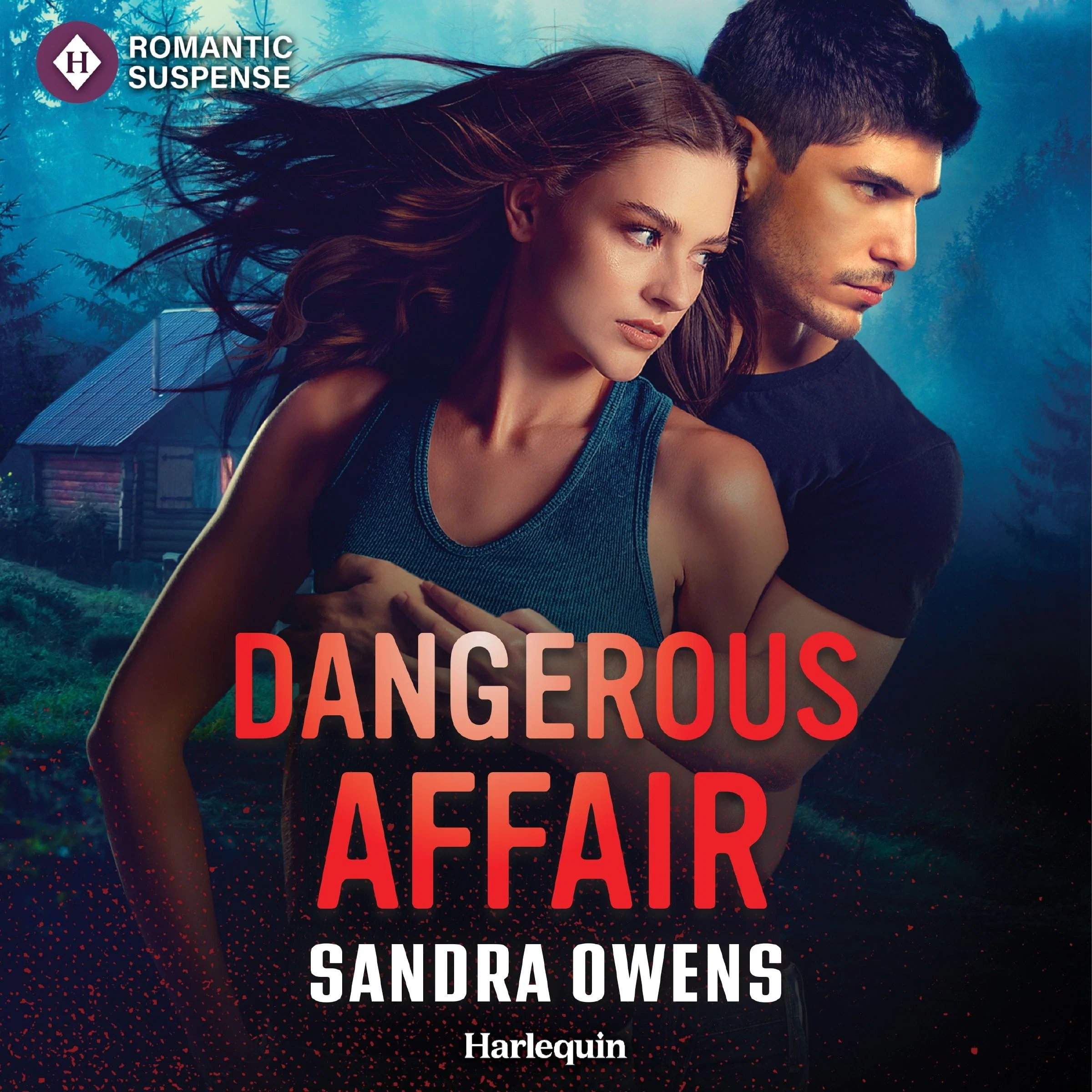 Dangerous Affair - Image 2