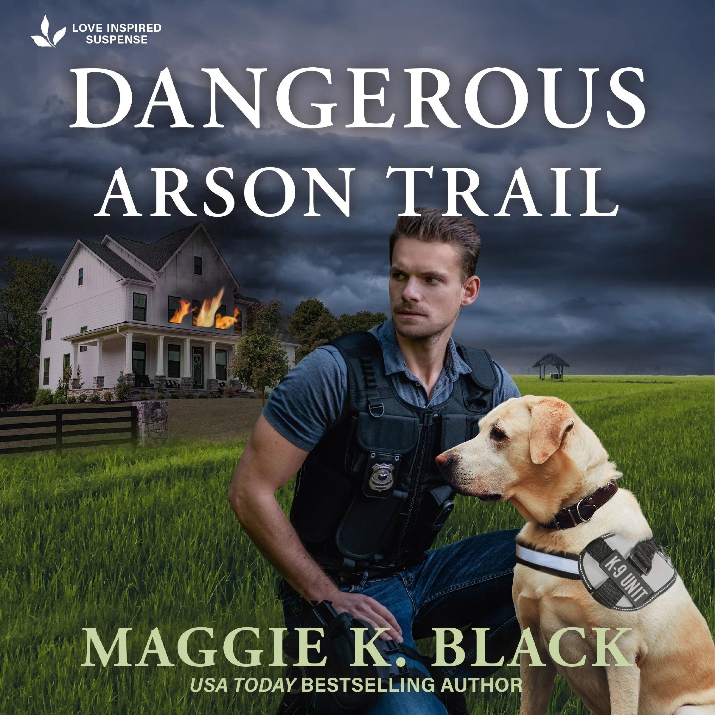 Dangerous Arson Trail - Image 2