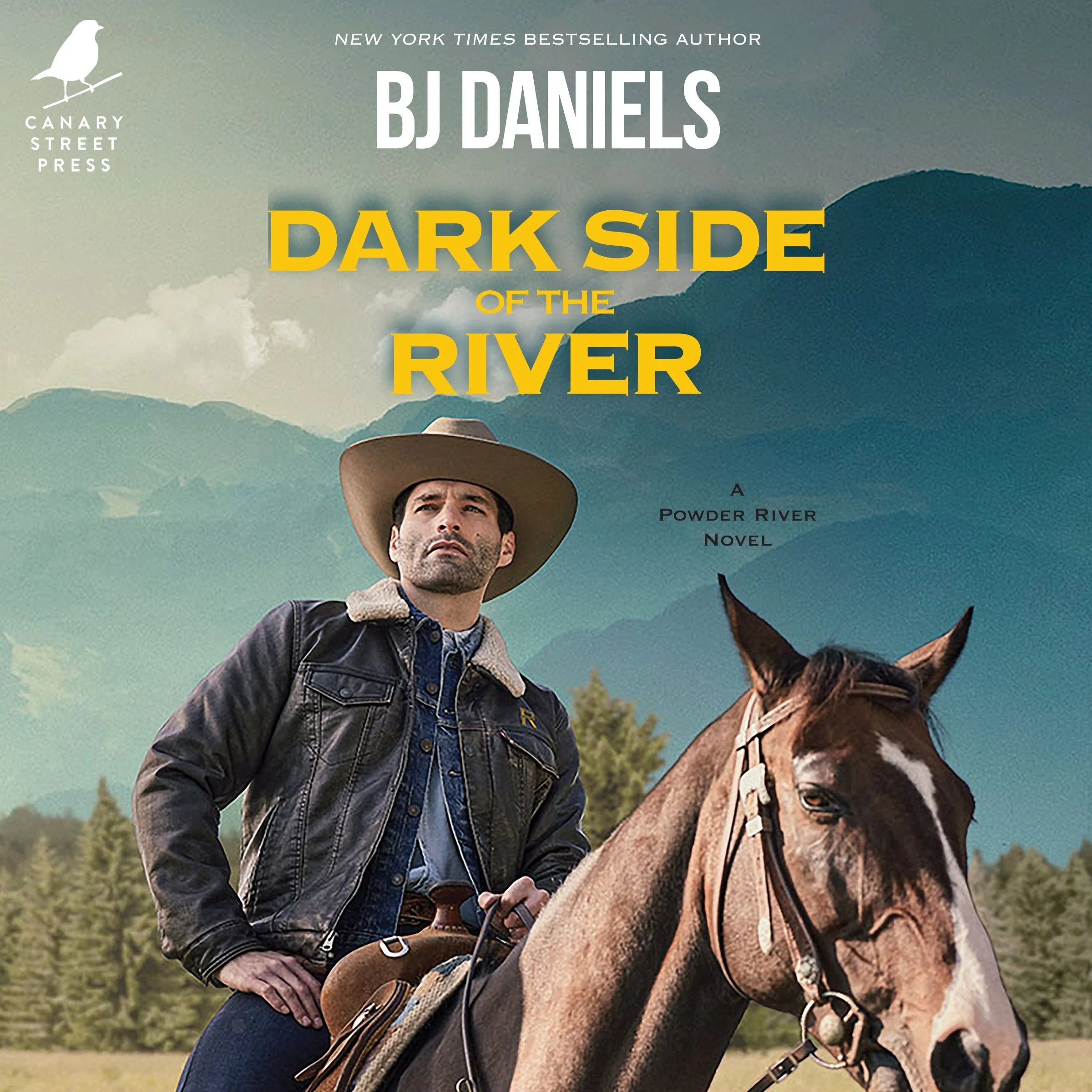 Dark Side of the River - Image 4
