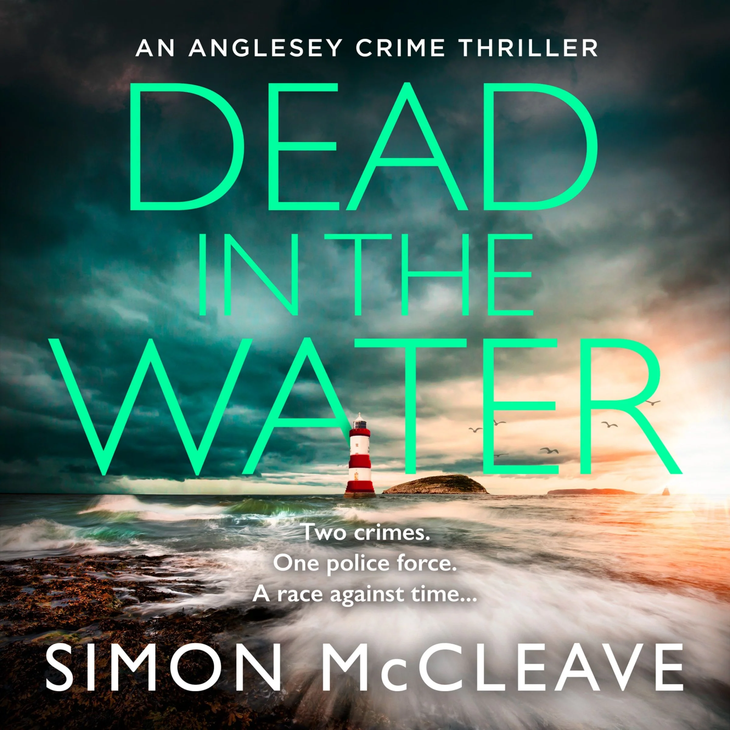 Dead in the Water (The Anglesey Series, Book 5) - Image 2