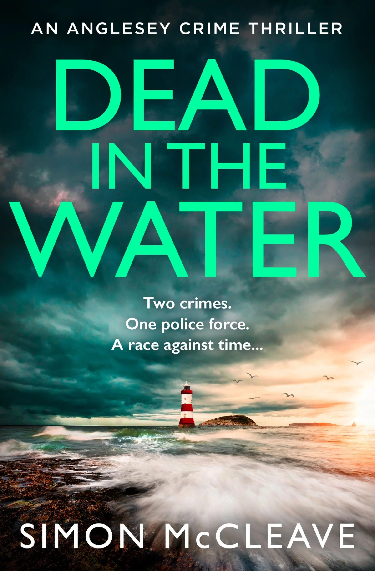 Dead in the Water (The Anglesey Series, Book 5) - Image 4