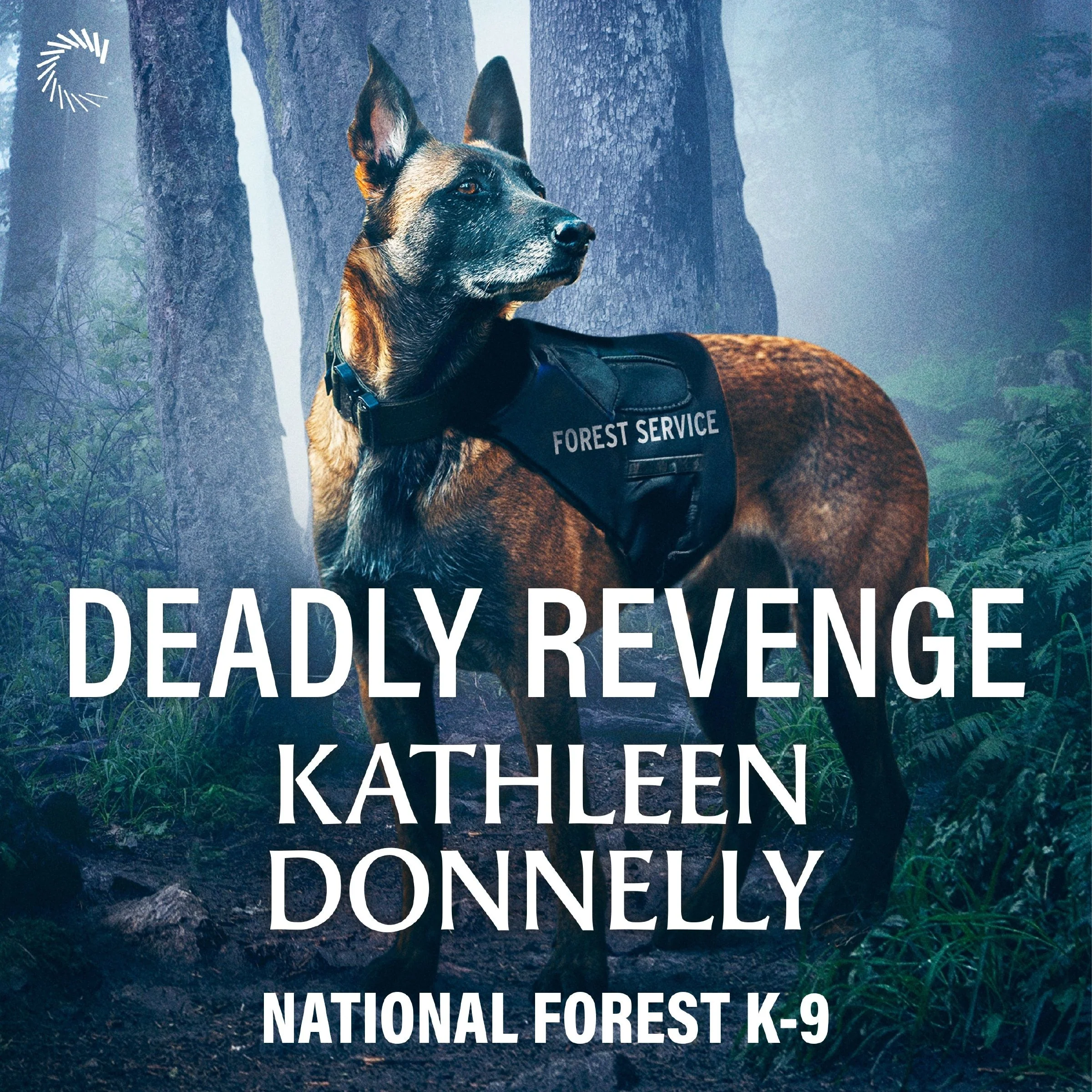 Deadly Revenge - Image 2